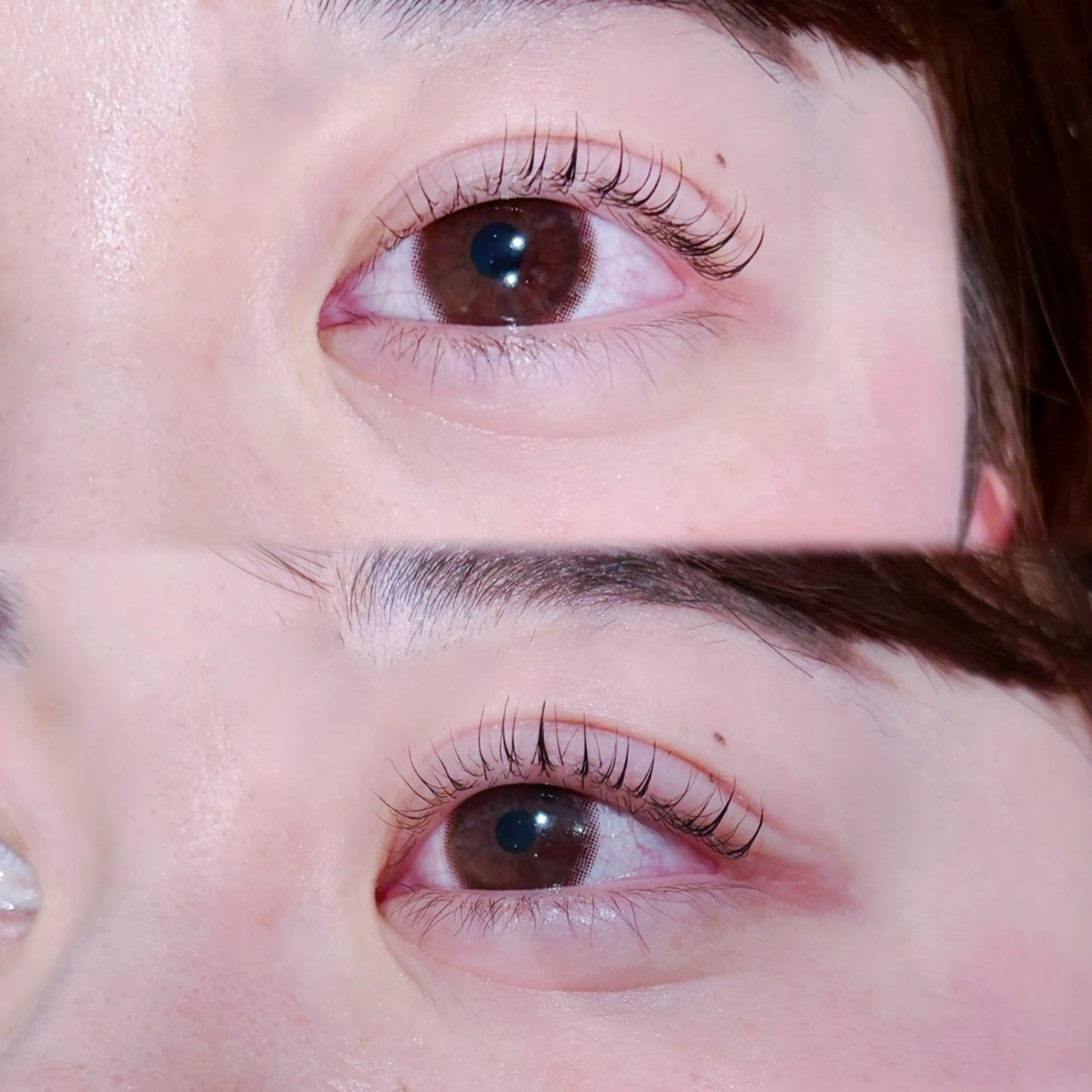 マツエク・マツパ Cカール キュート まつげパーマ マツパ 寒色/デザインカラー 🪽_マヒルのマツエク・マツパデザイン