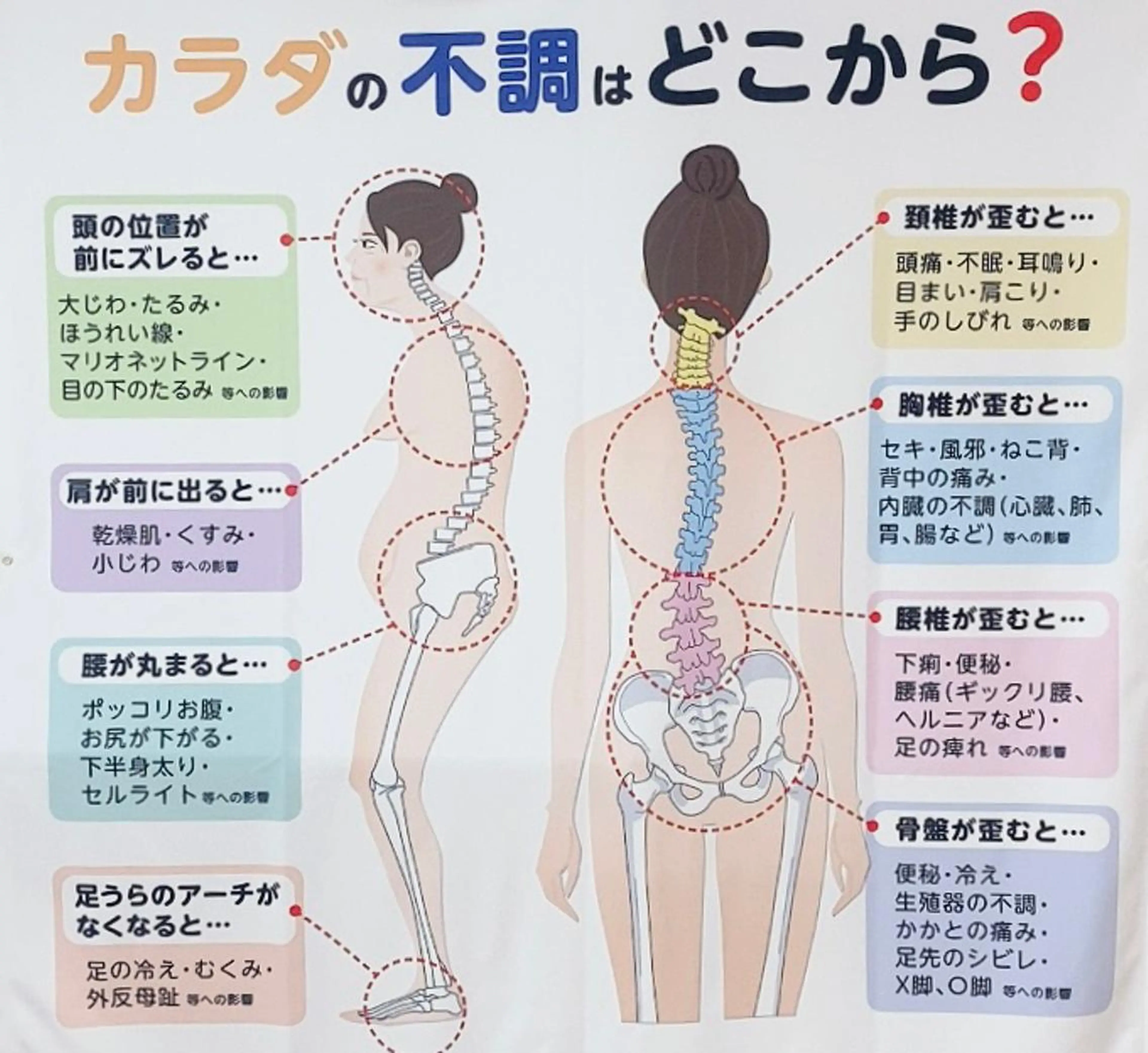 【整体人気No.1】✨全身骨格調整✨美姿勢で不調改善&免疫UP‼︎そしてお肌トラブルにも◎(骨盤調整含)の写真
