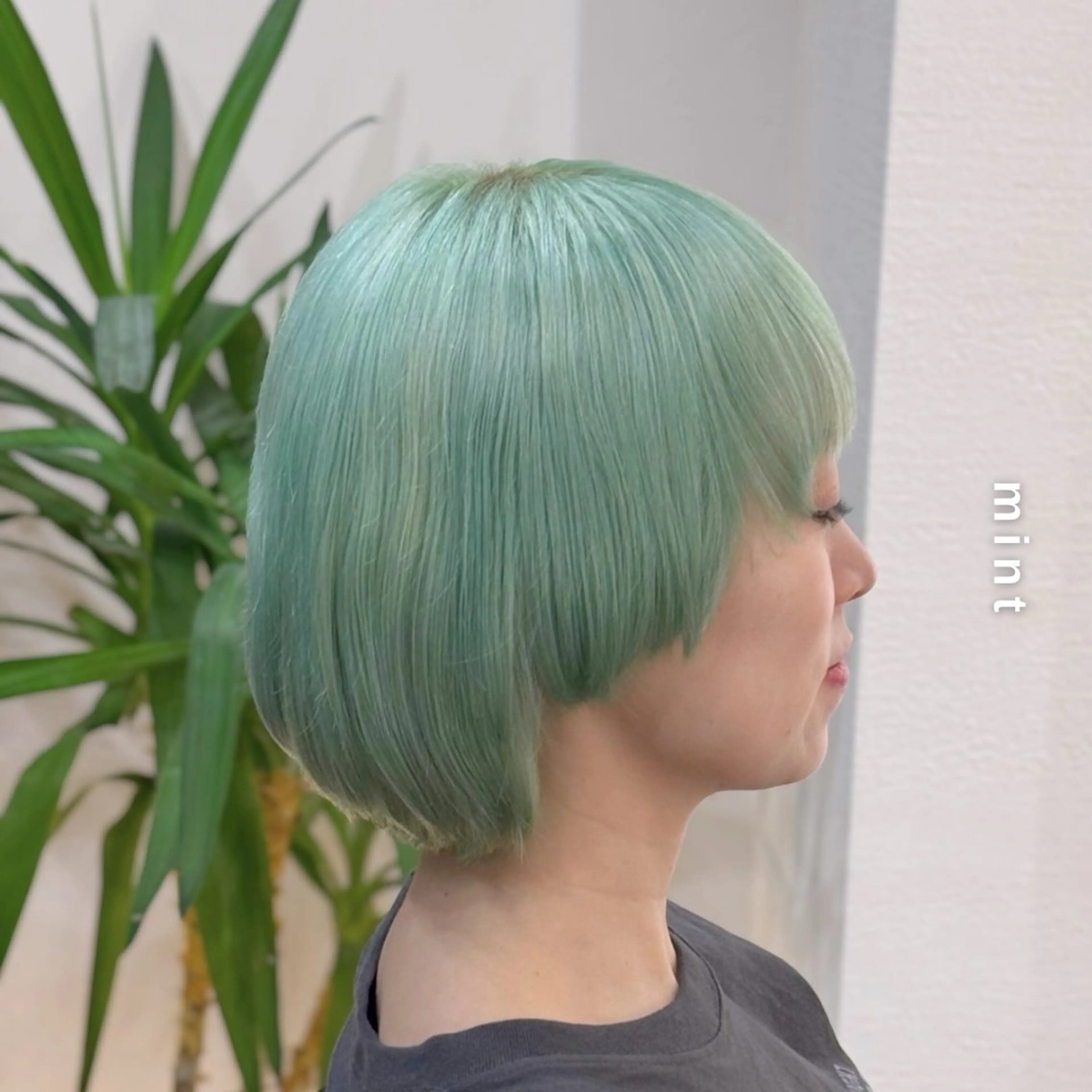 ミディアム カラー ミント ミントグリーン ヘアカラー トリートメント ヘアセット Hair&Make newer所属・しんのすけ /モデルさん募集中のヘアスタイル