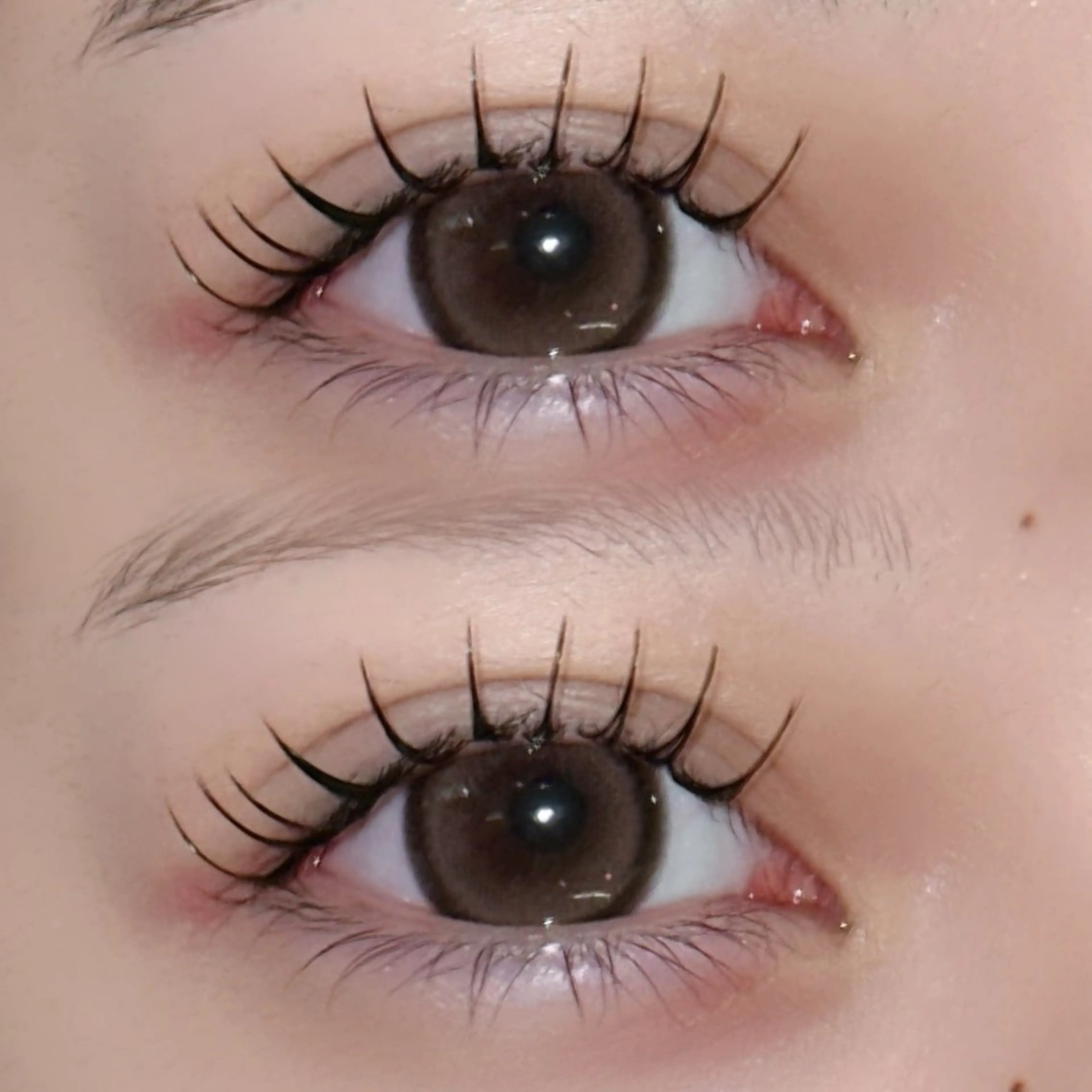 ♡＆healthy / 100本♡ アイシャンプー×コーティング付き🫧〘 LEDグルー変更+1100〙の写真