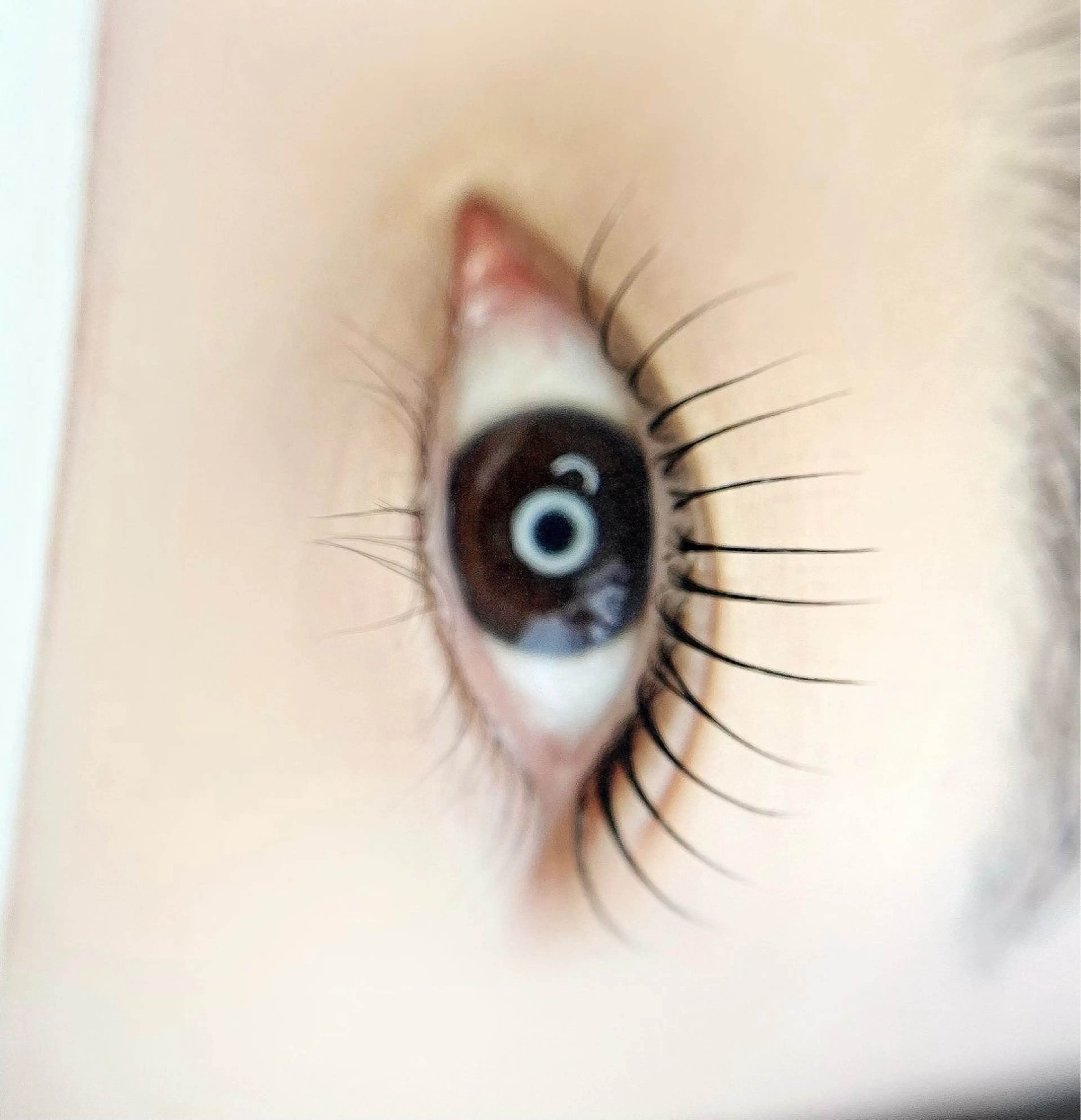 マツエク・マツパ un par un アンパルアン所属・un par unの眉毛・アイブロウイメージ