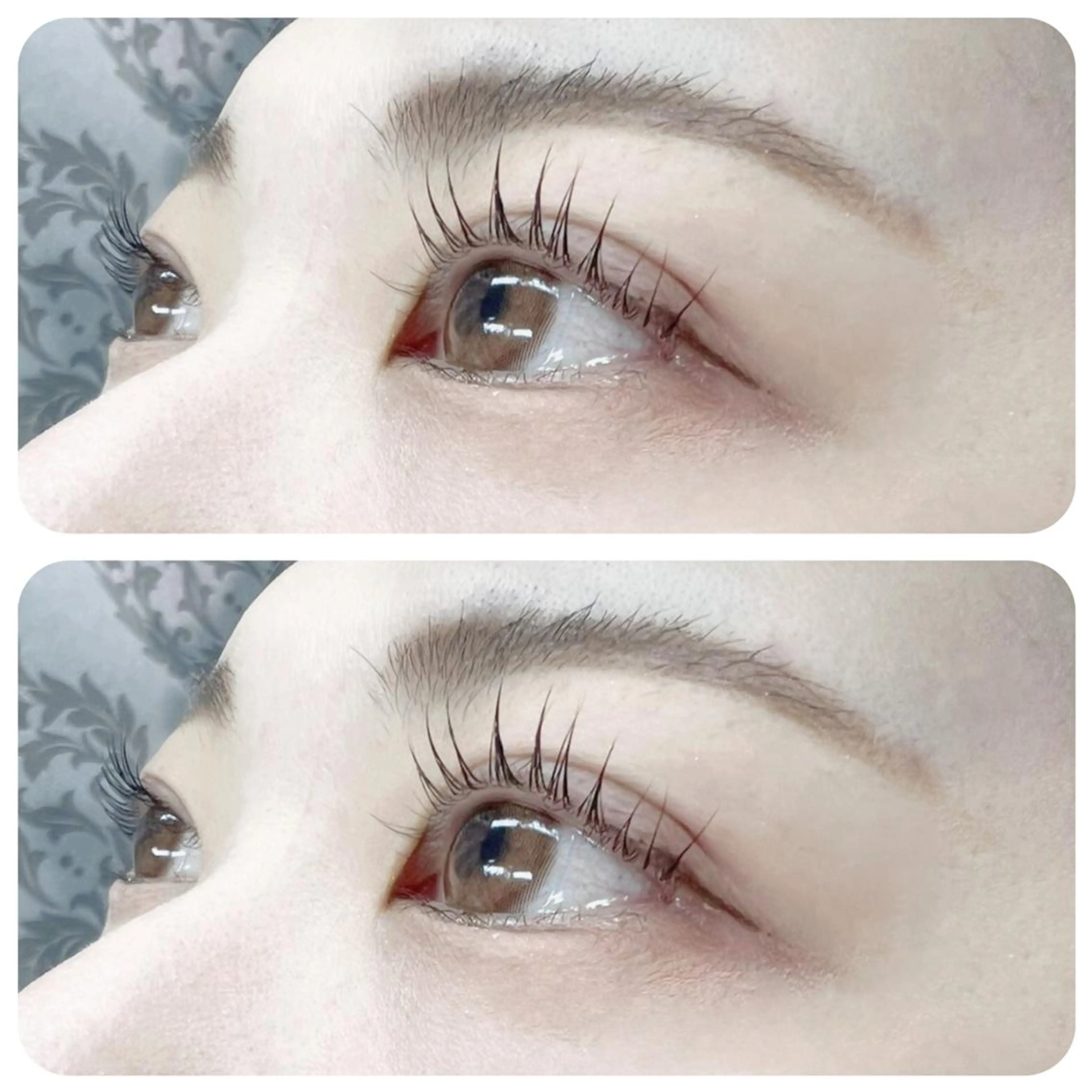 初回平日割✨次世代ラッシュリフト✨の写真