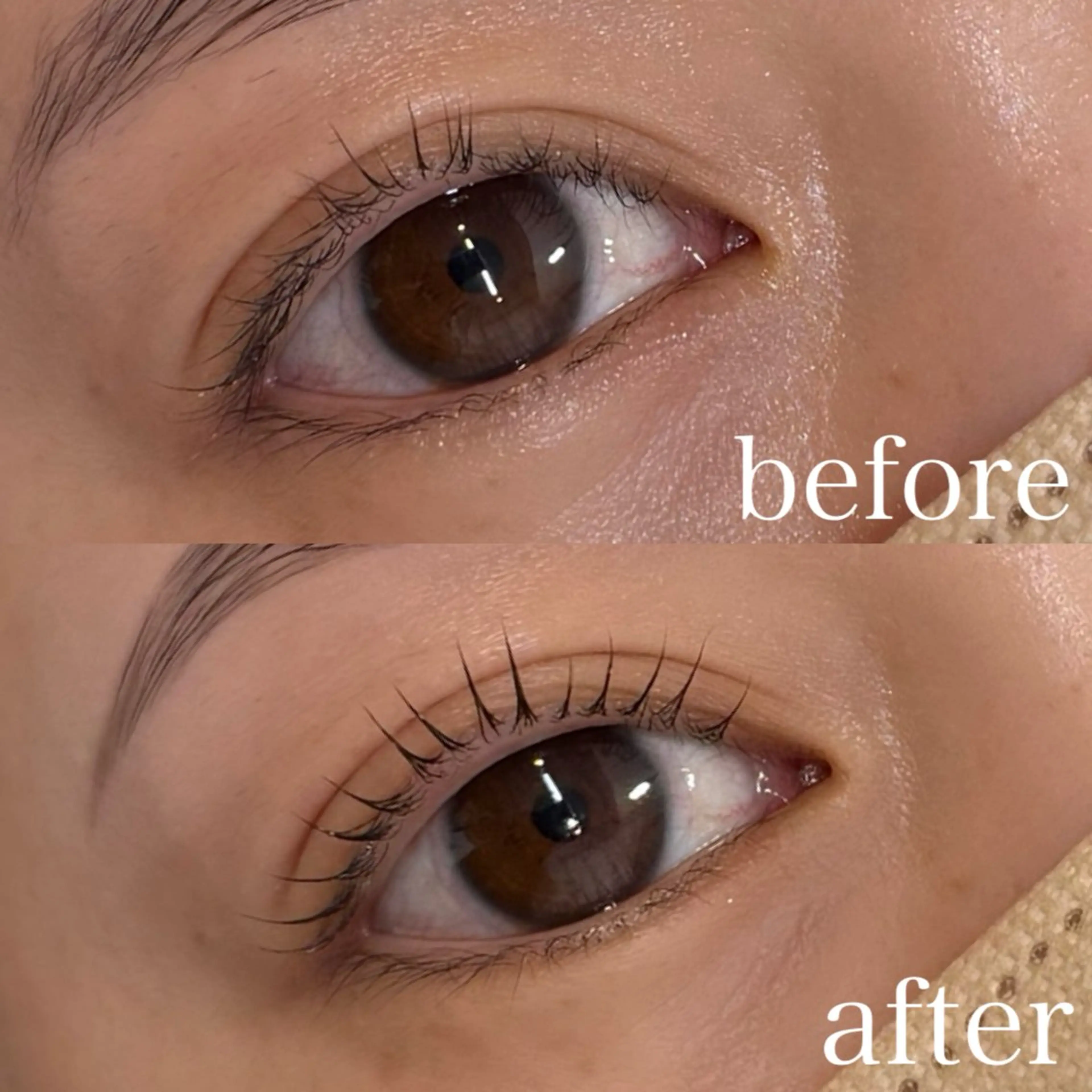 ミニモ学割50%オフ💎まつ毛パーマ　【SNS掲載🆗の方限定】の写真