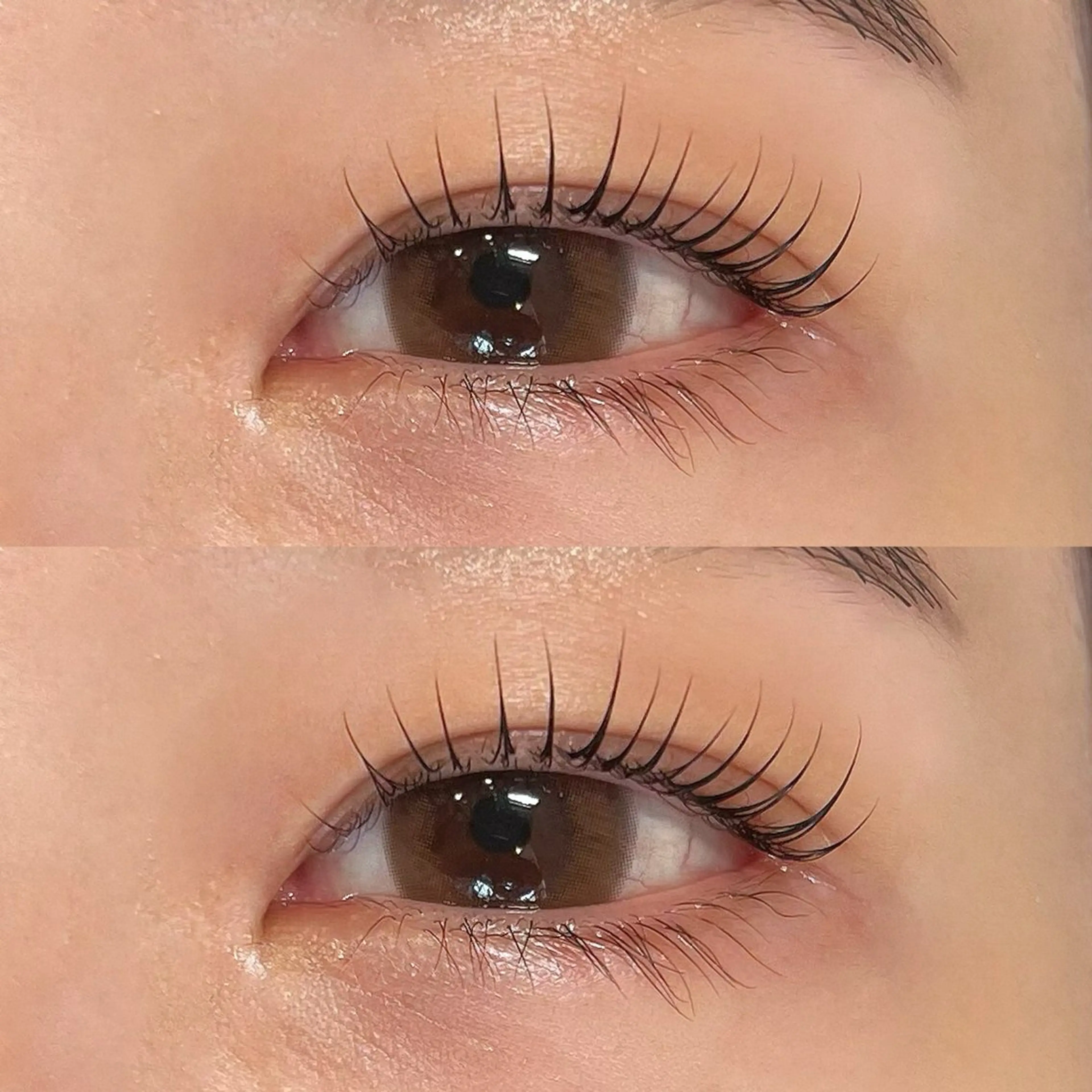 マツエク・マツパ 〰️sofa🪧 Kiguchiのマツエク・マツパデザイン