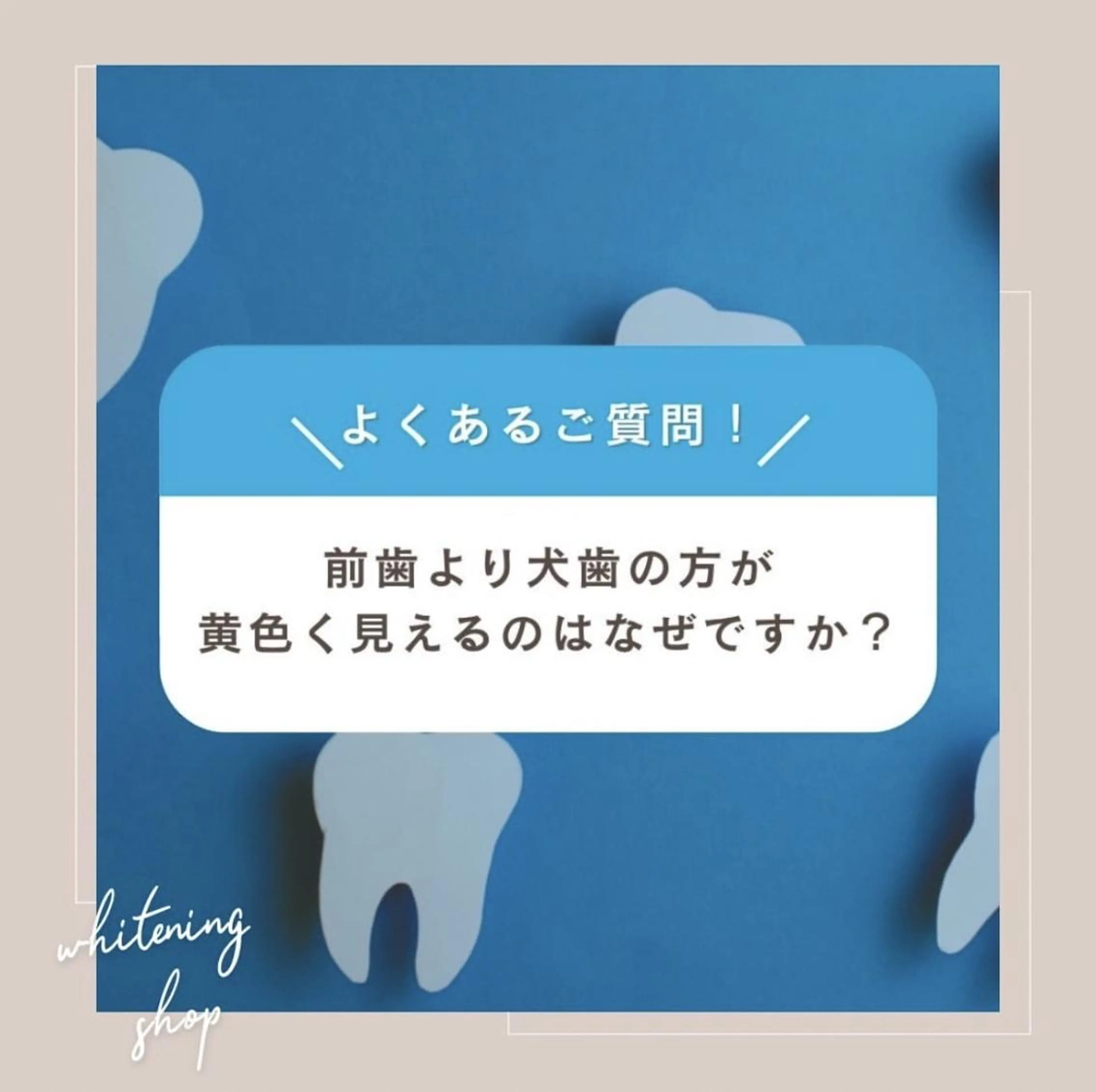 メンズ エステ ホワイトニング ショップ千葉店のその他イメージ