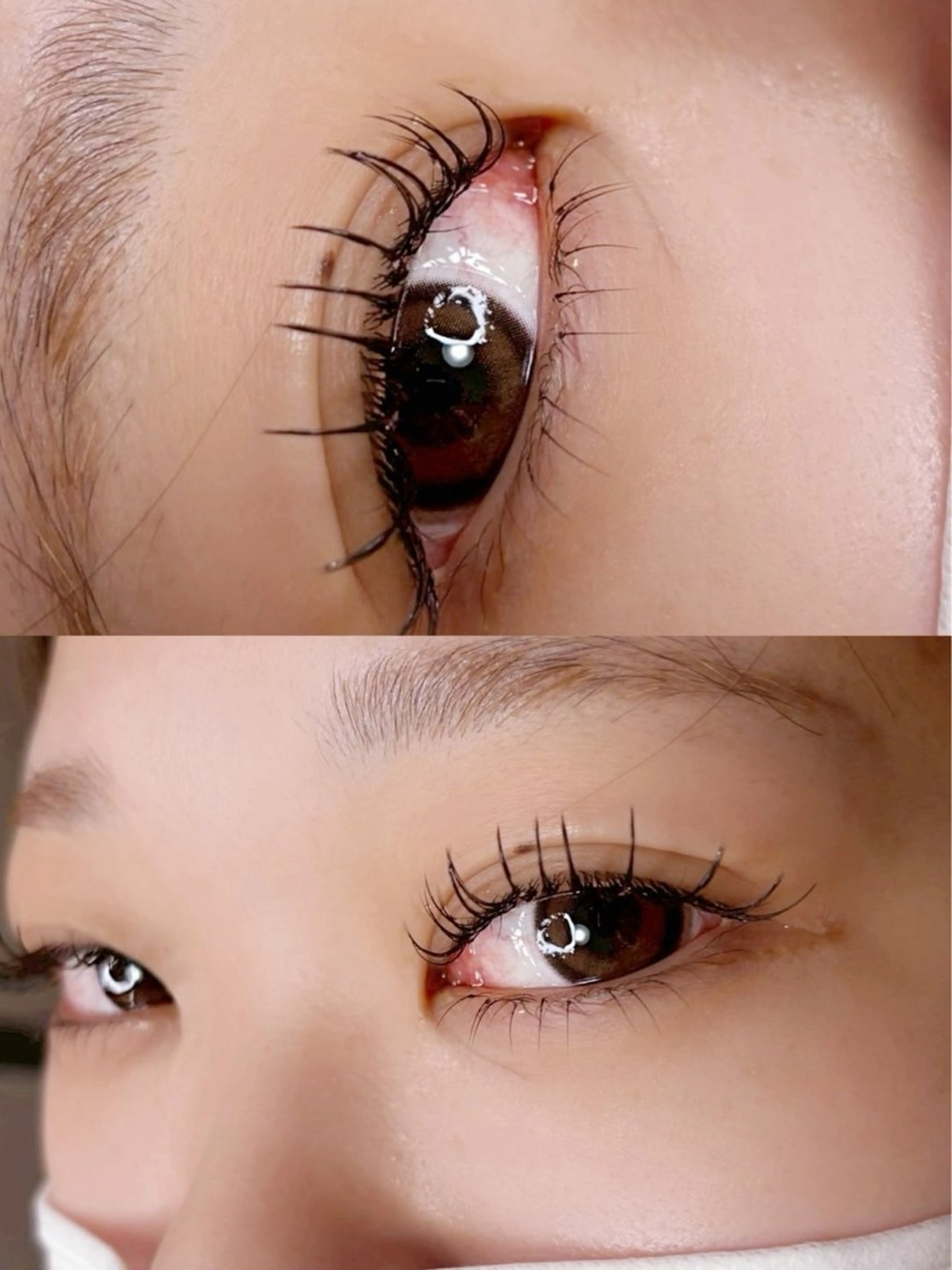 【持続力アップ🌸】LEDエクステ100本迄オフ込み【寝屋川市/シングルラッシュ】の写真