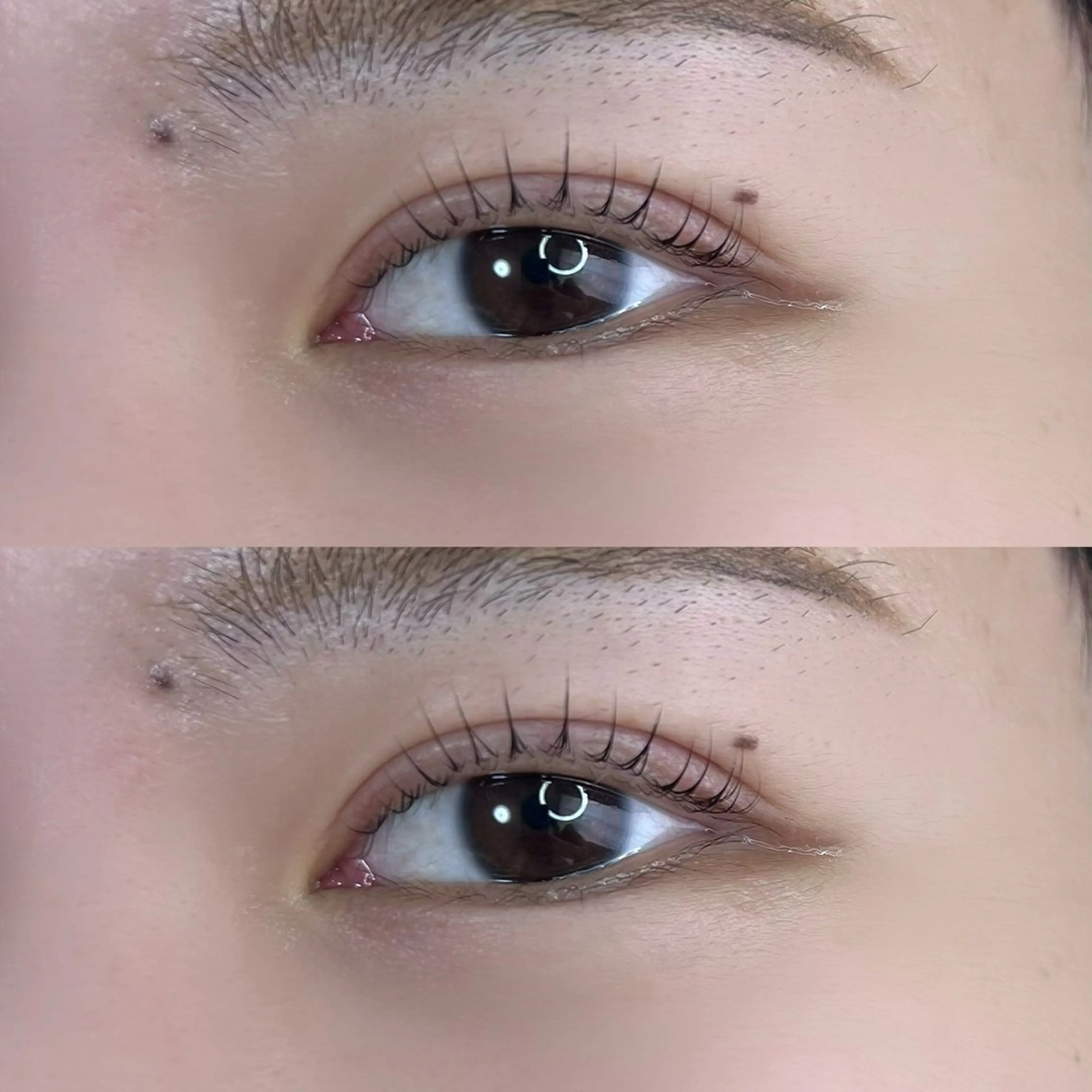 マツエク・マツパ eyelash fleurのマツエク・マツパデザイン