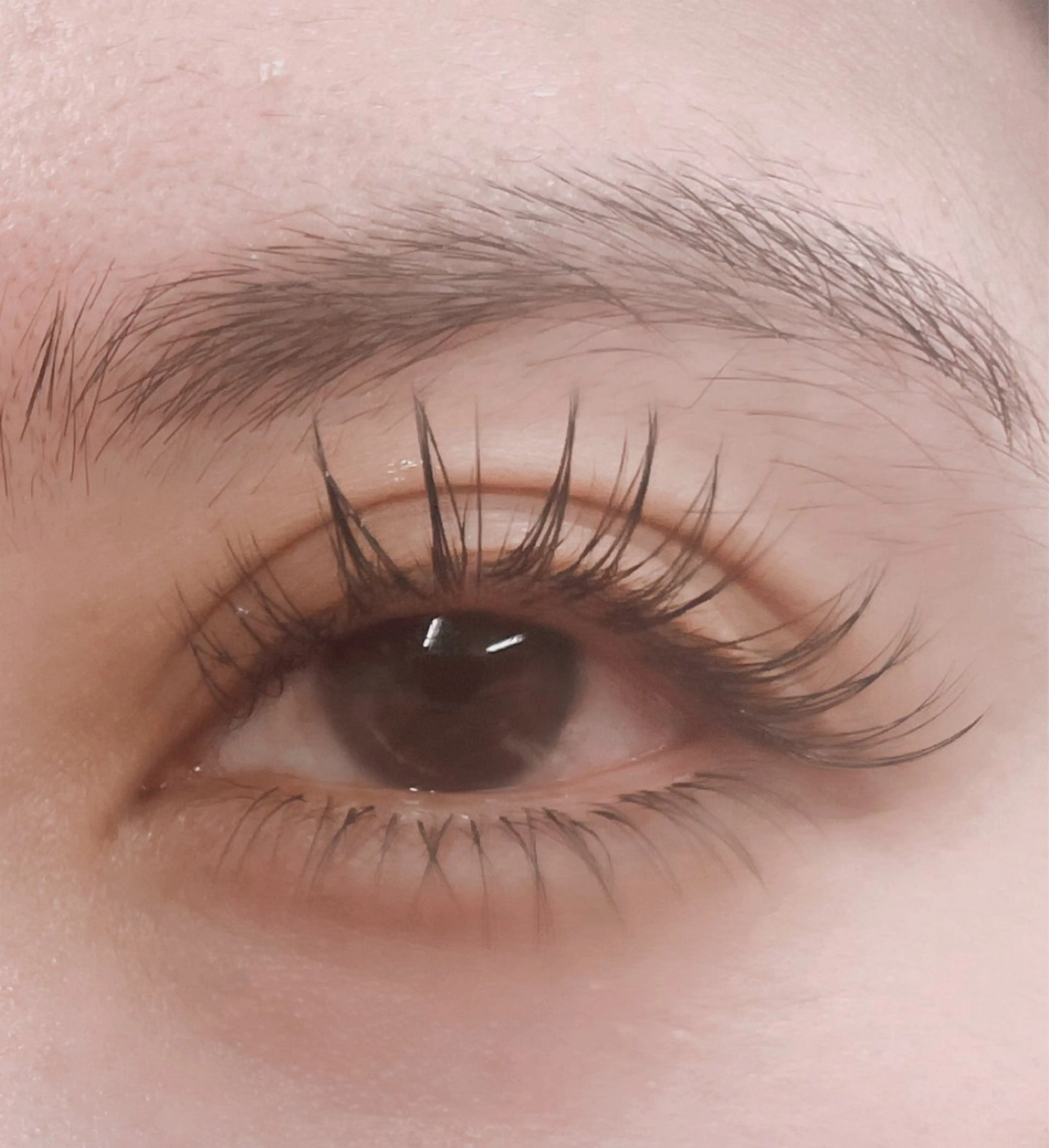 マツエク・マツパ 下まつげエクステ マツエク MAQUIA うかいのマツエク・マツパデザイン