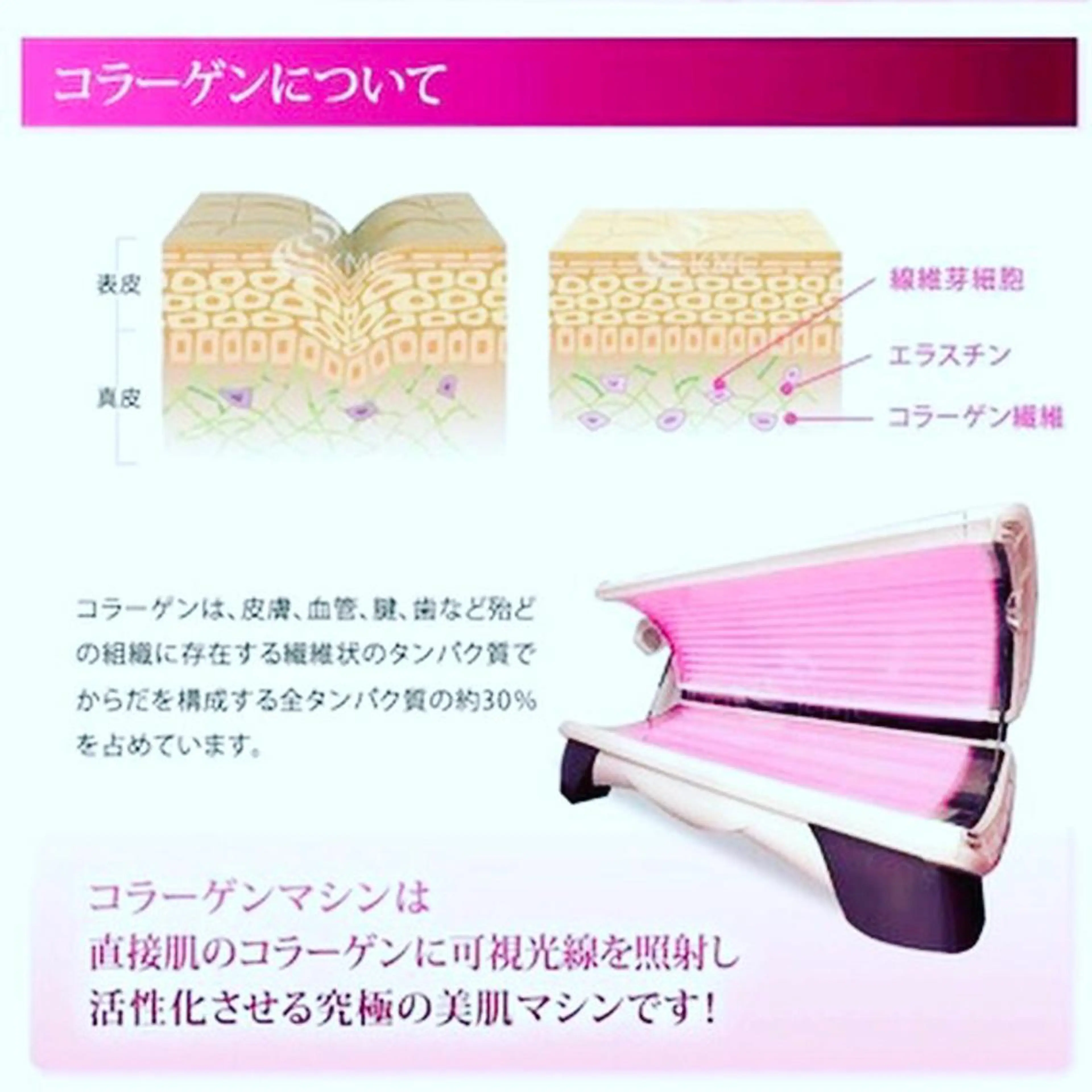 バストアップサロン 「パトラクシェ本店」のエステ・リラクイメージ