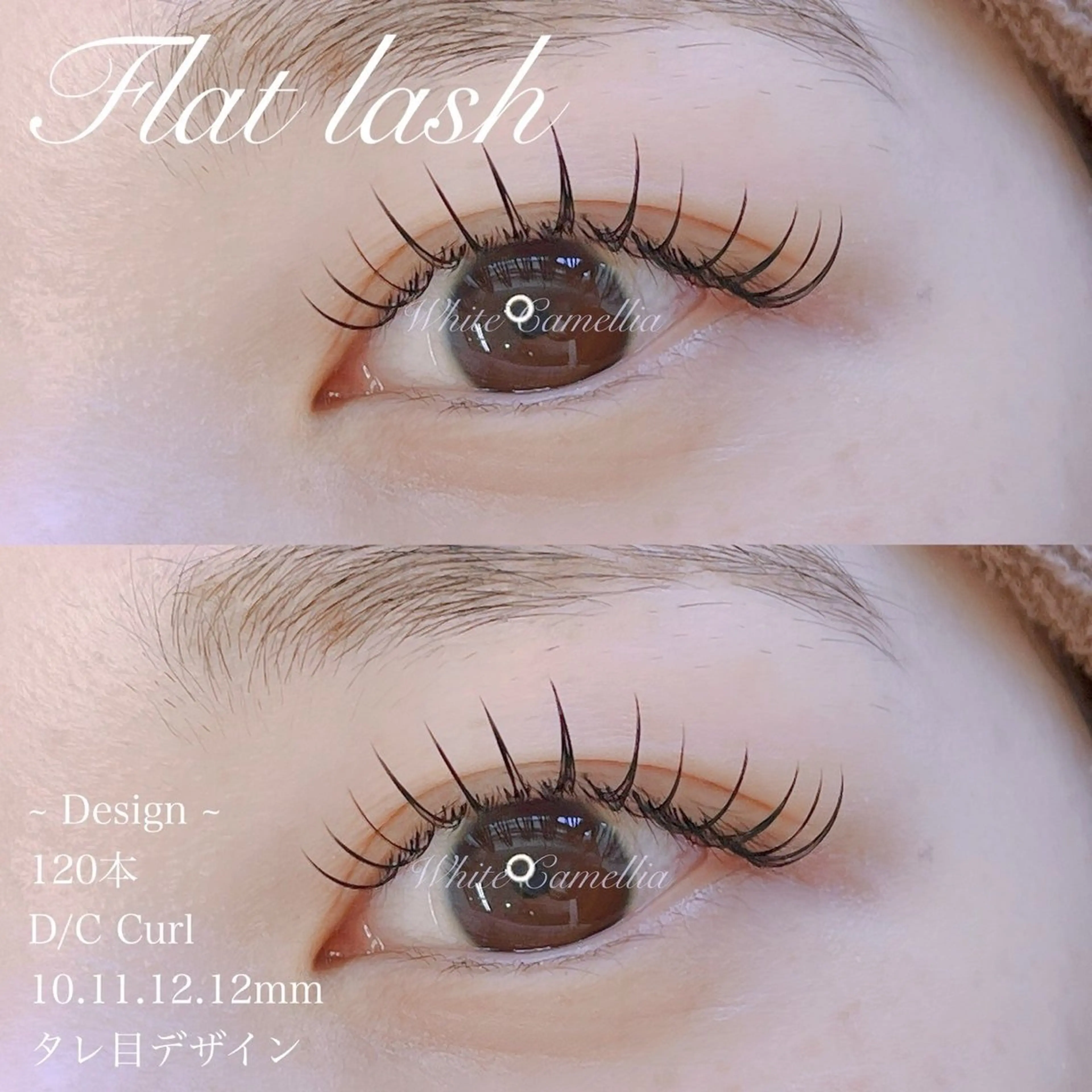 【マツエク】ナチュラル韓国束感　フラットラッシュ140本の写真