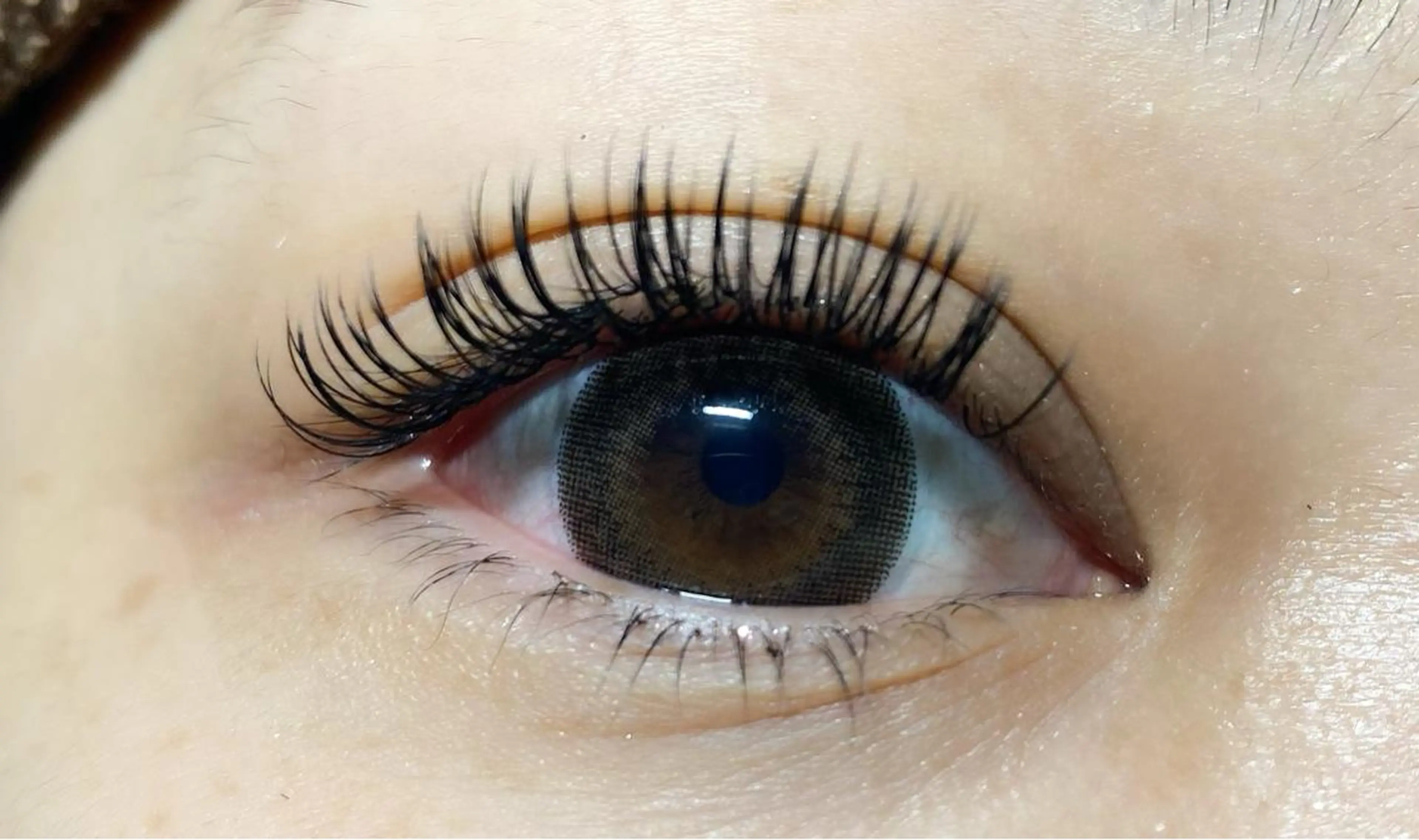 フラットラッシュ 100本 ブラウンエクステ変更無料です✨の写真