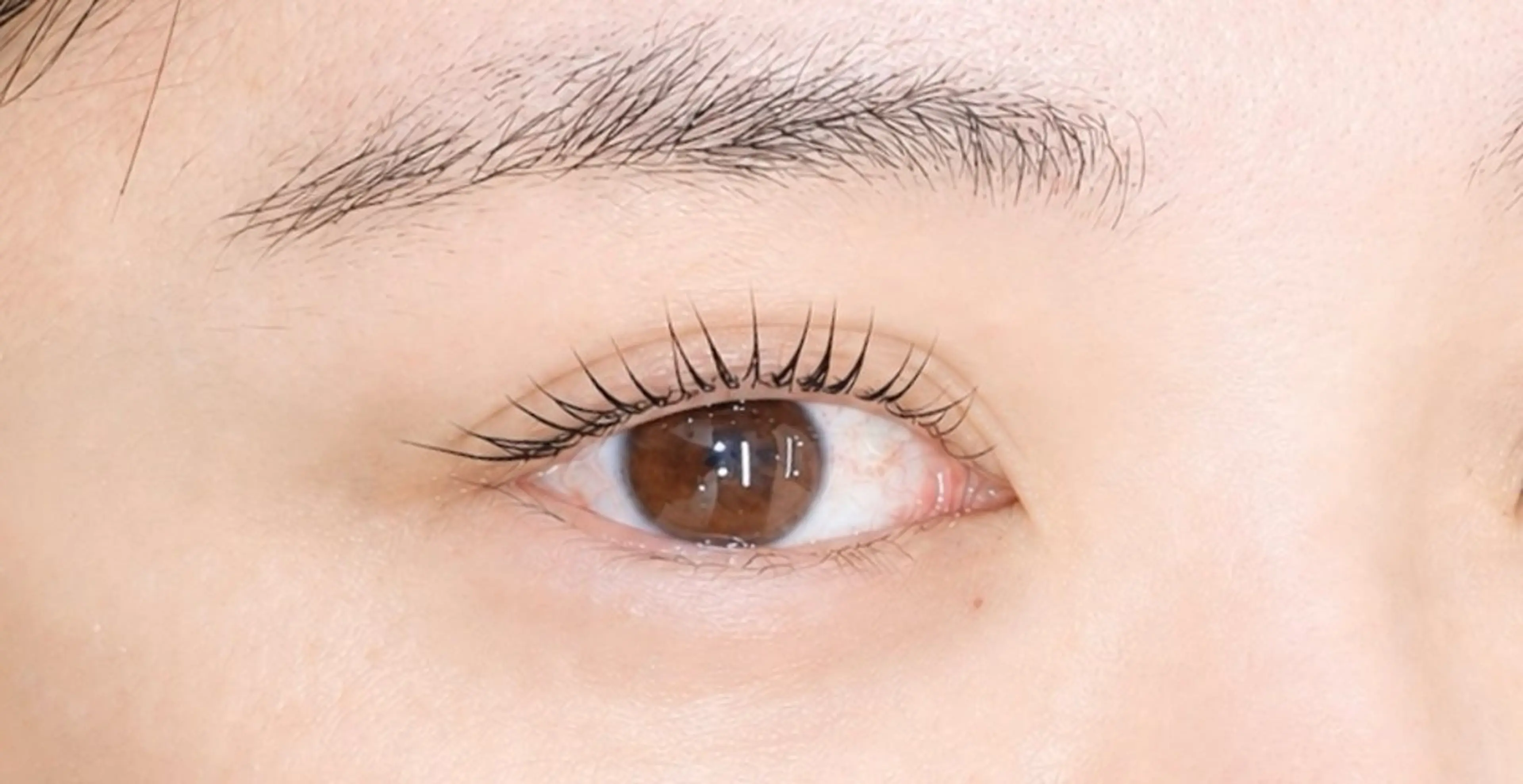 マツエク・マツパ ナチュラル 一重×まつ毛パーマ cocoru柏店💗 藤澤の眉毛・アイブロウイメージ