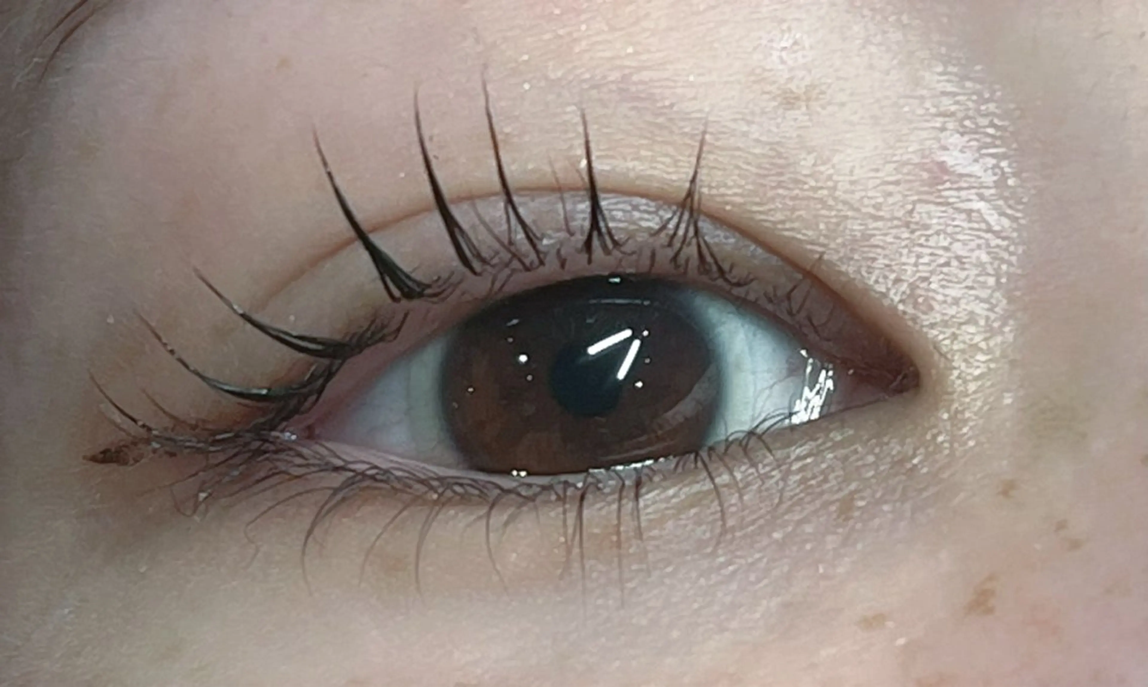 マスカラパーマ🖤美容成分配合のブラックティント/アイシャンプー＆コーティング付きの写真