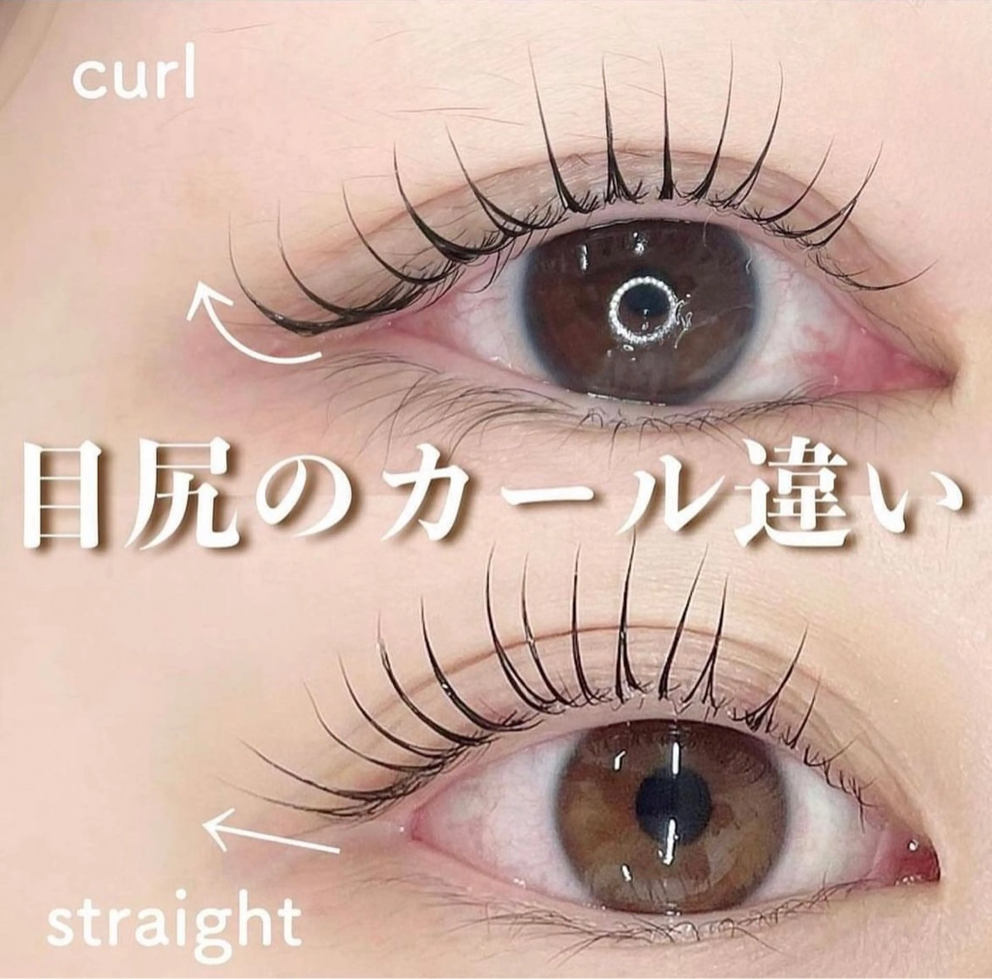 🌱🤍SNS話題物🌱✨大人気✨ 「 Maetel Rod 」束感コーティング付き💖ぱっちり+垂れ目風の写真