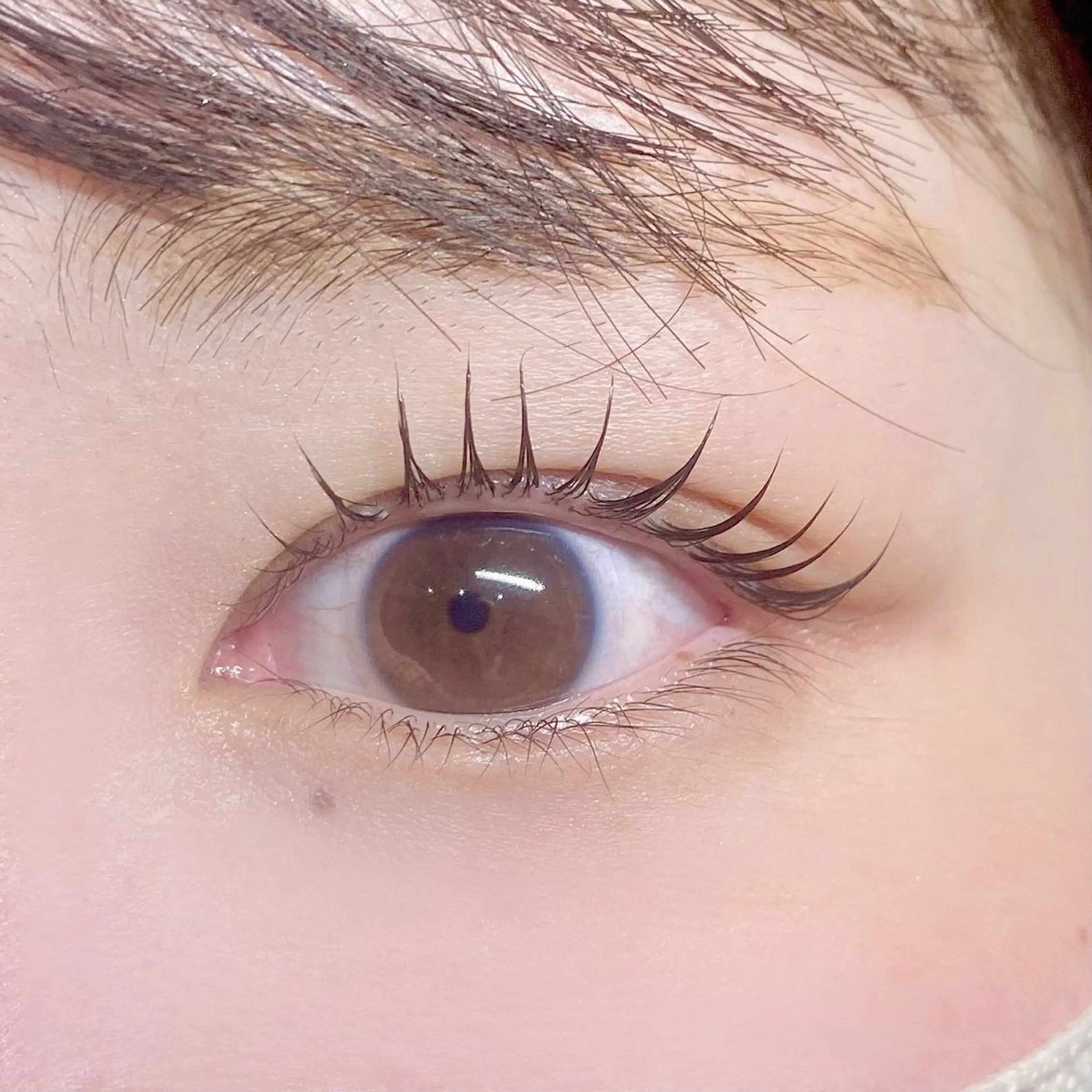 マツエク・マツパ 束感まつ毛 ✨sylph✨ MADOKA✨のマツエク・マツパデザイン