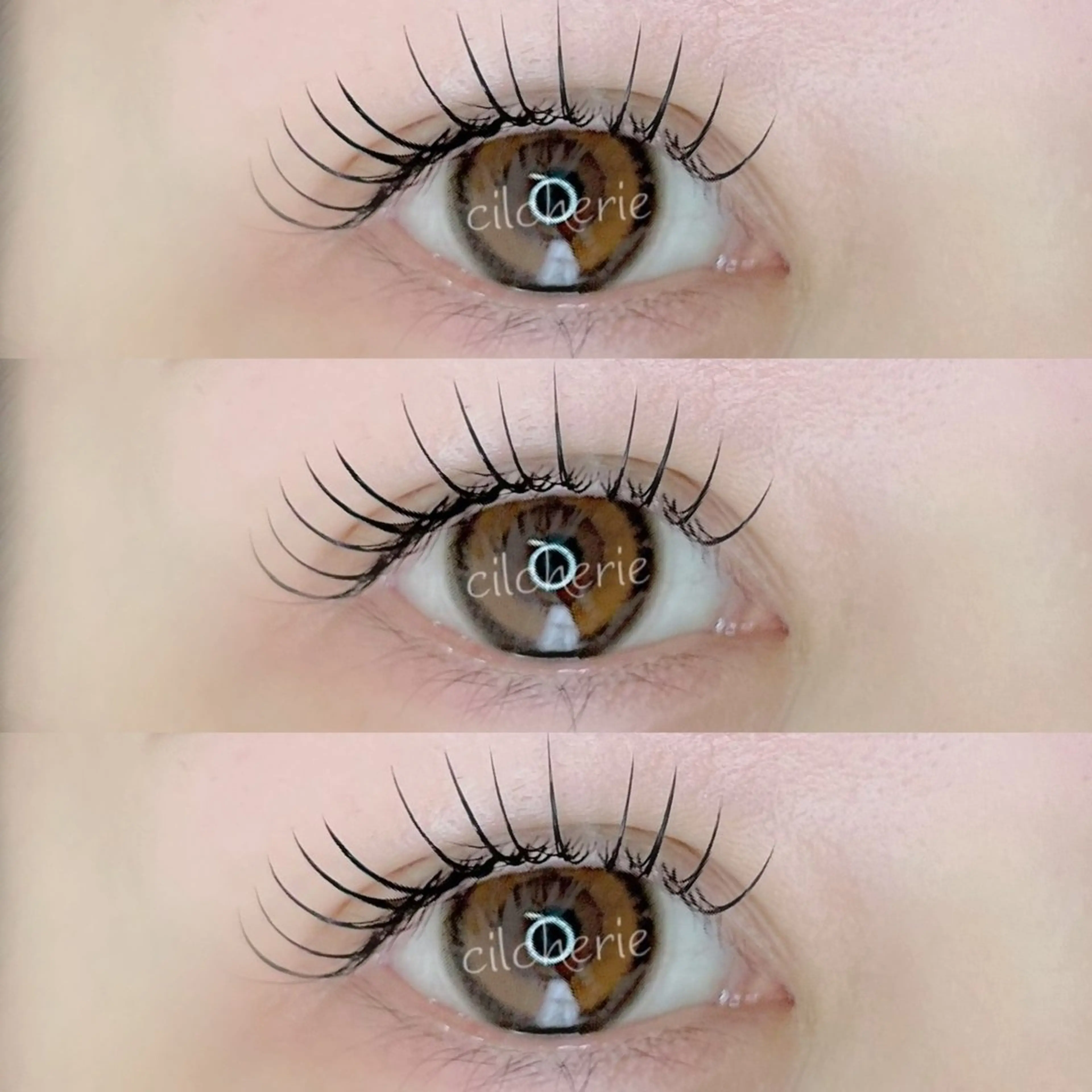 マツエク・マツパ マツエク cilcherie (シルシェリー)のマツエク・マツパデザイン