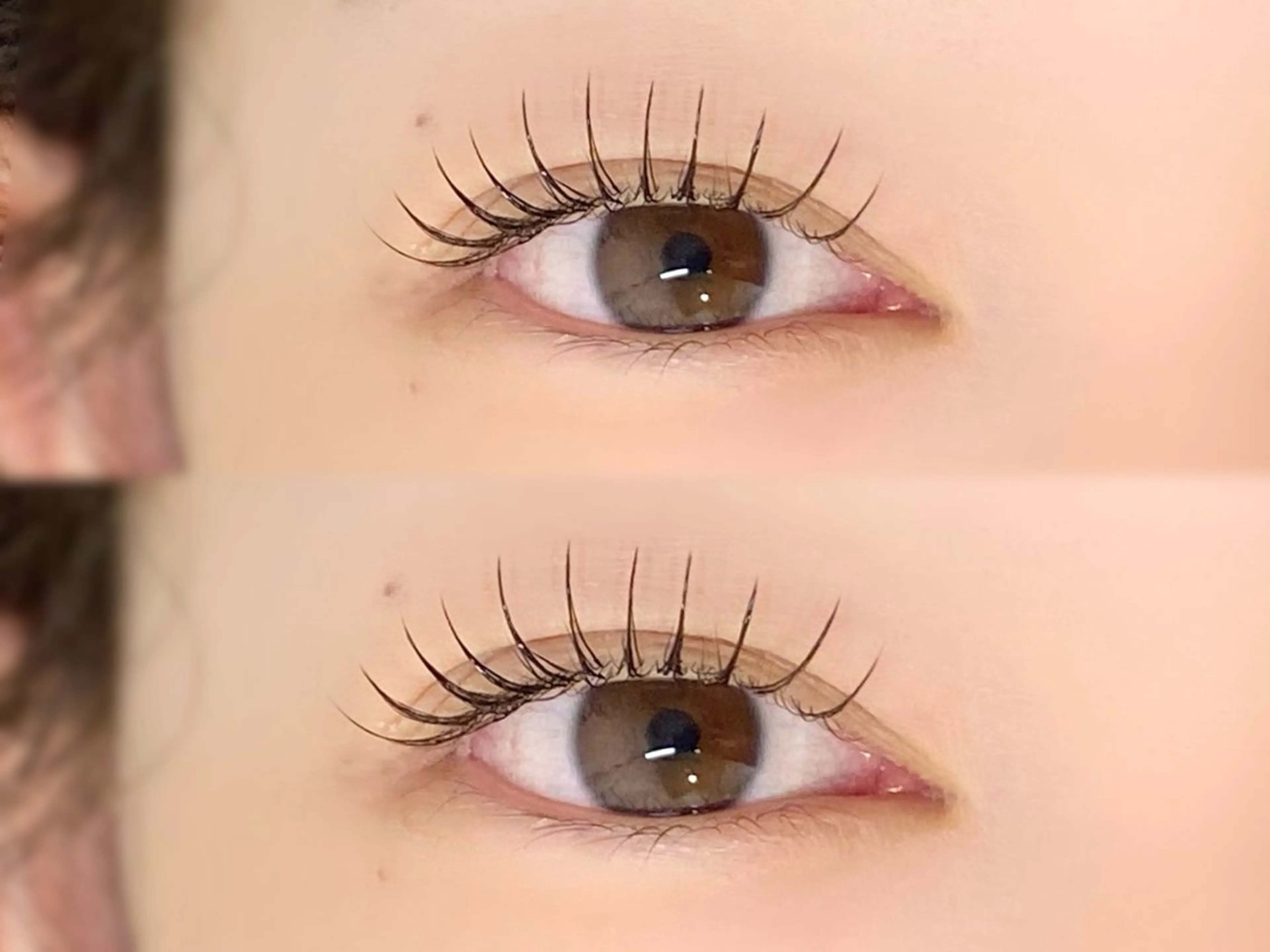 ãðæééå®ðºððã¡ãã¥ãŒðãïŒãã«ã·ãŒ80æ¬ðÂ¥4400ã®åç