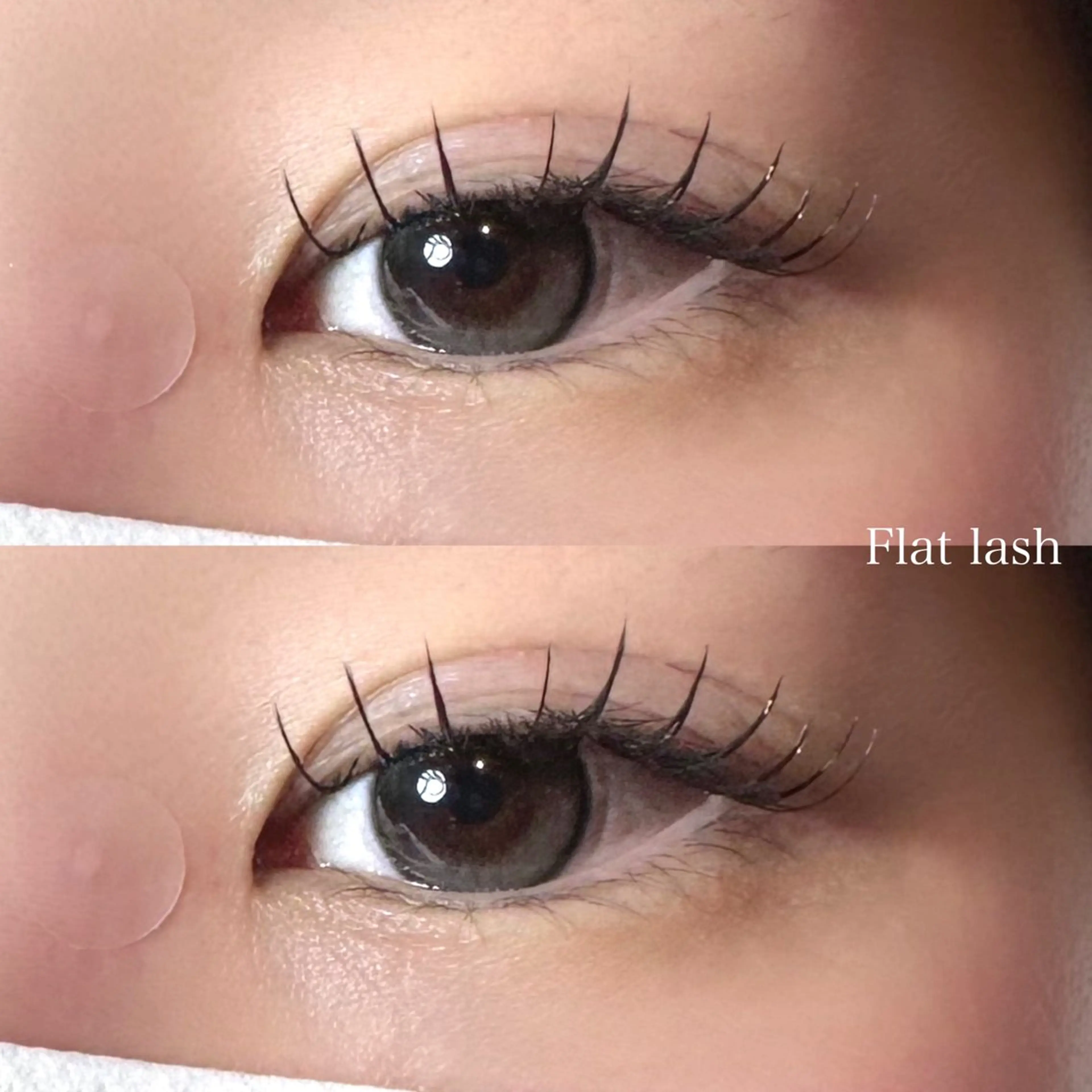 マツエク・マツパ マツエク Stella 石井のマツエク・マツパデザイン