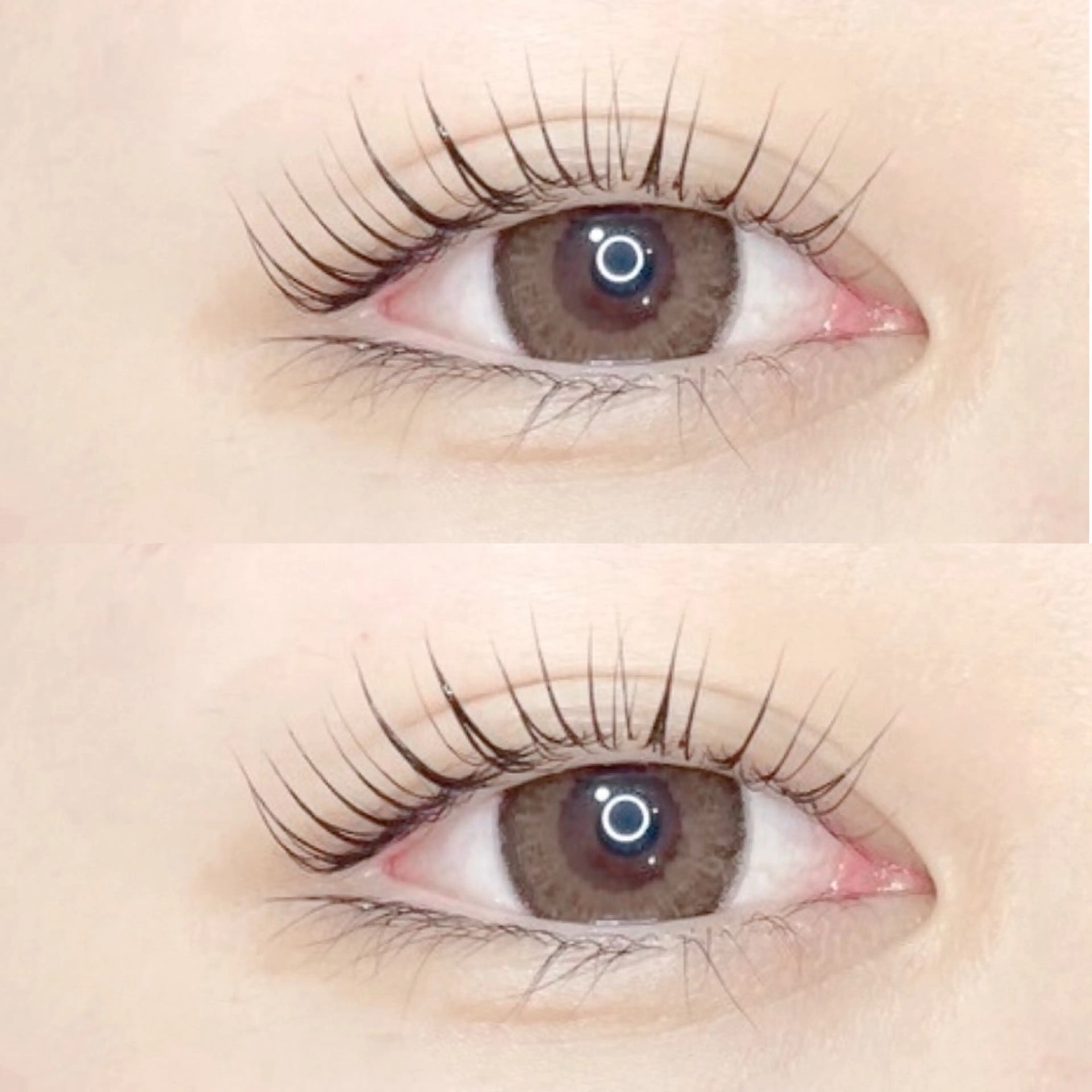 ラッシュリフト上➕コーティング✨付きの写真