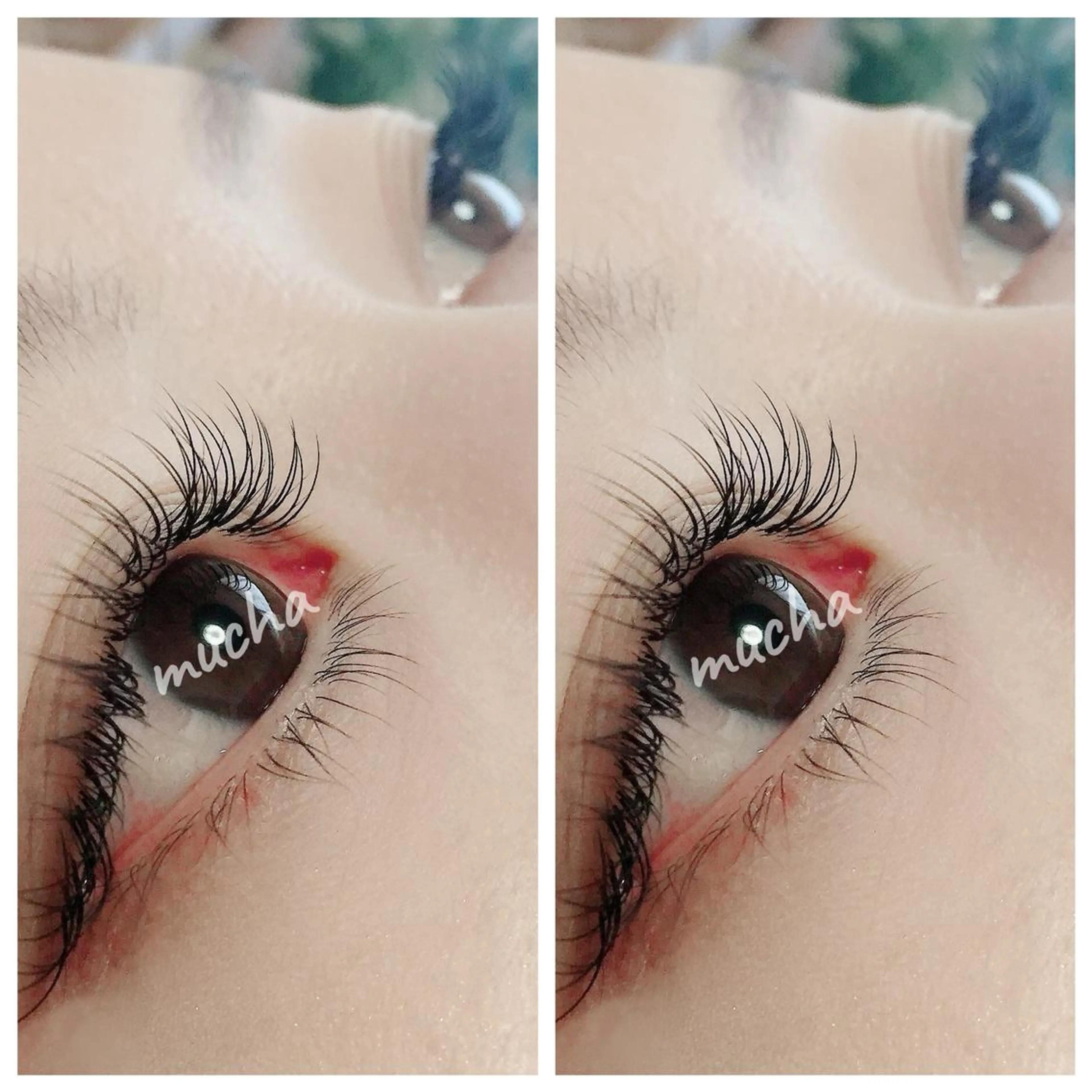 マツエク・マツパ フラットラッシュ eyelash muchaのマツエク・マツパデザイン