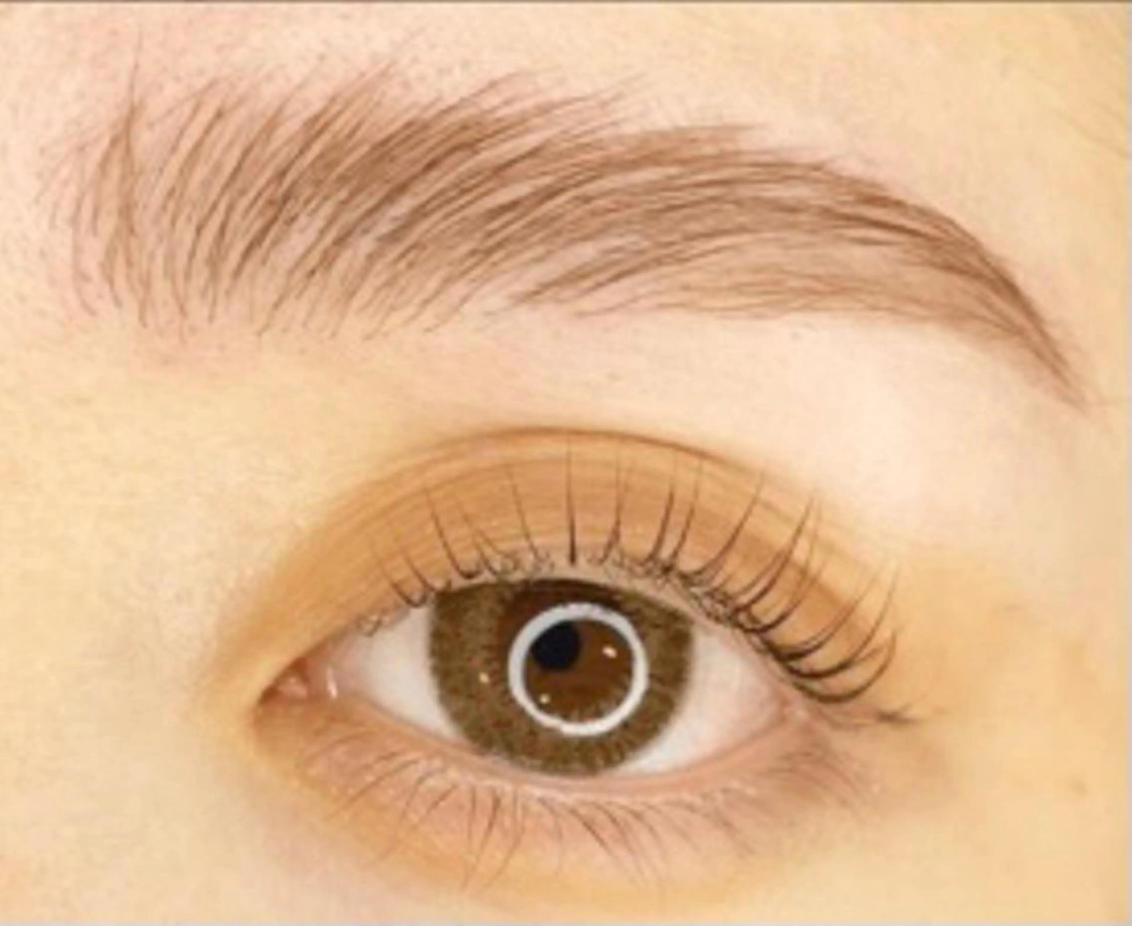 アイブロウ 林 志帆子【en2号店】のマツエク・マツパデザイン