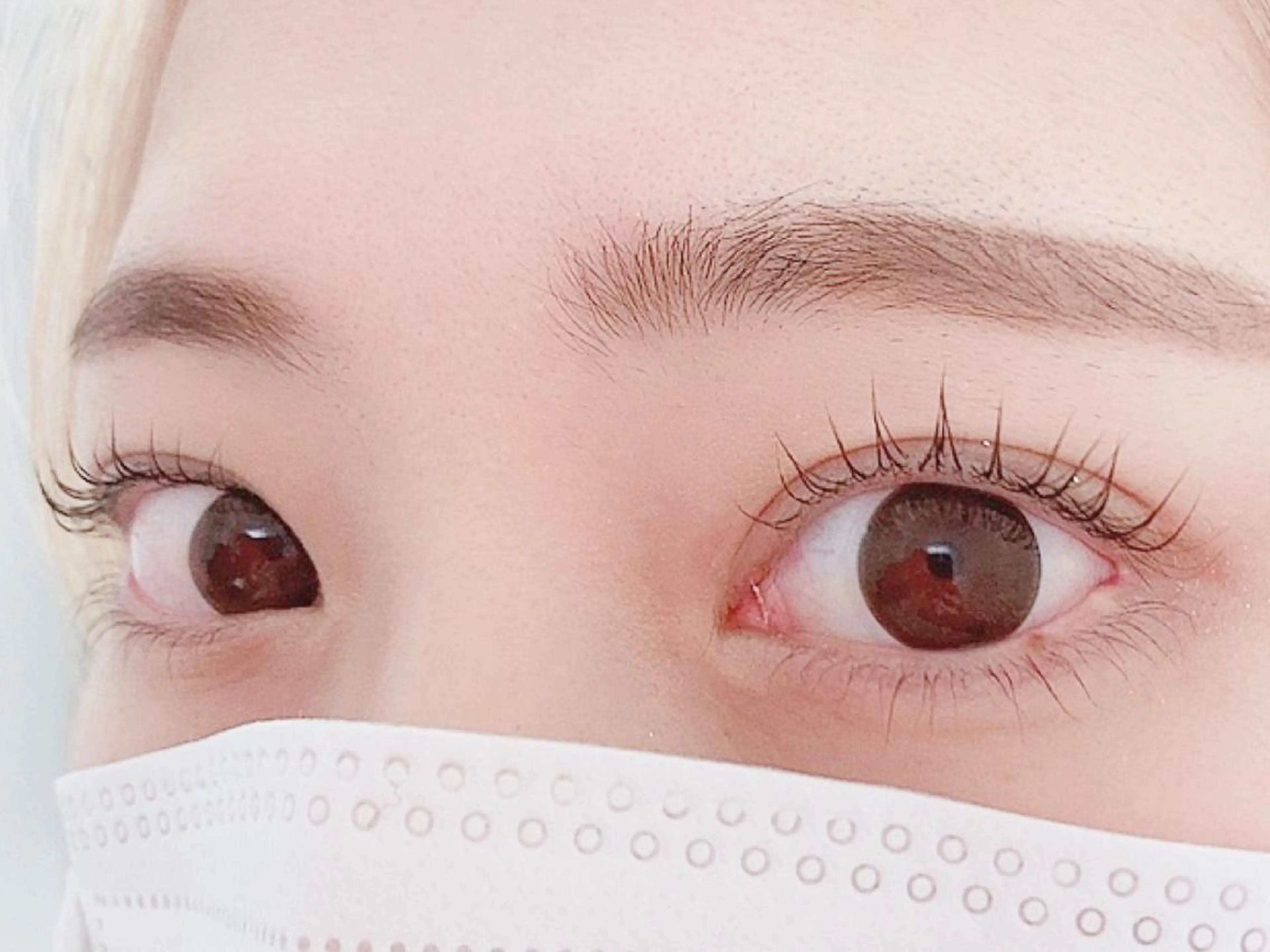 マツエク・マツパ マツパ トレヴァーデルチザン inuiのマツエク・マツパデザイン