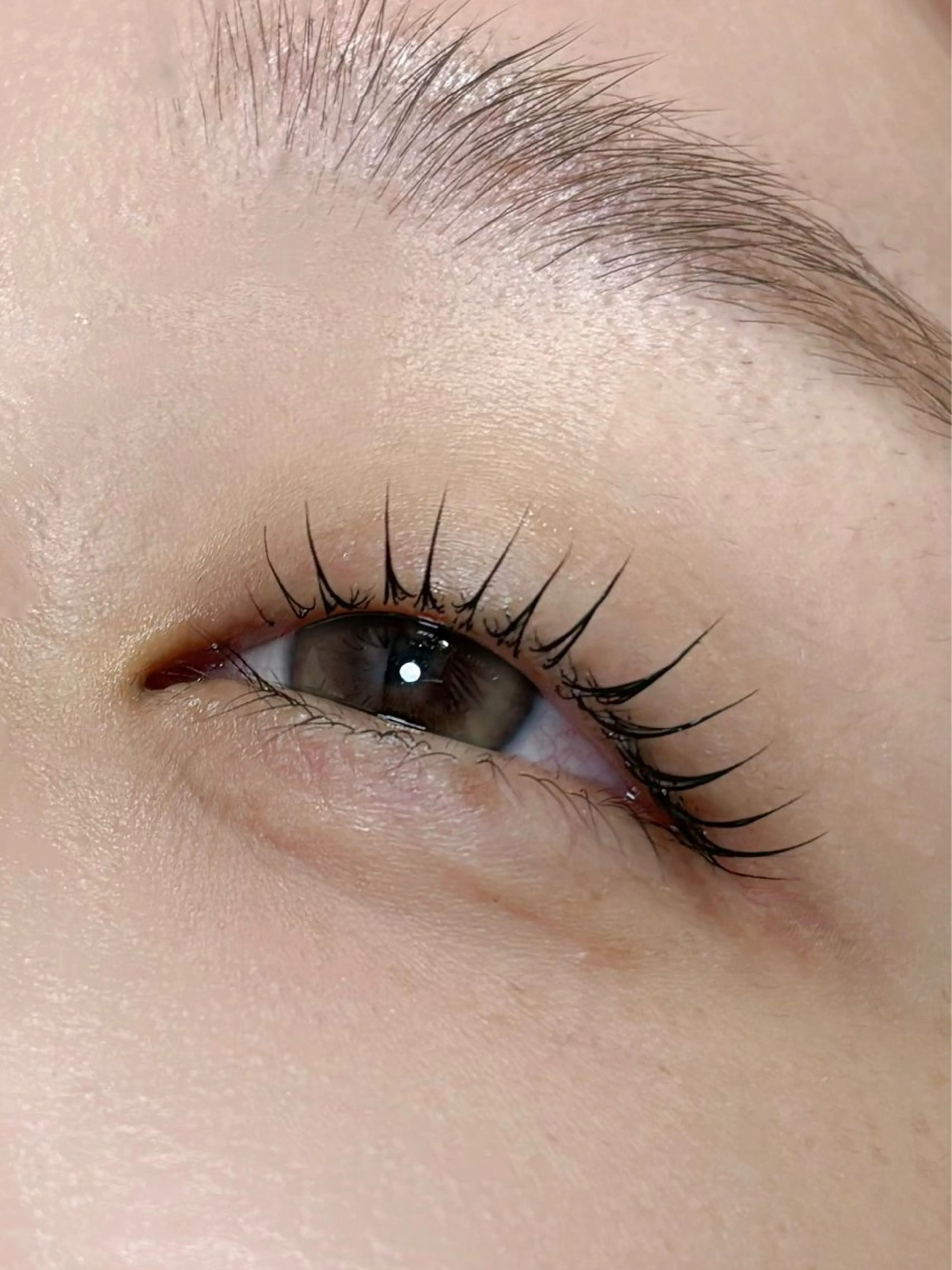 マツエク・マツパ マツパ 垢抜け眉WAX専門 ちゅるんまつげ|鎌倉の眉毛・アイブロウイメージ