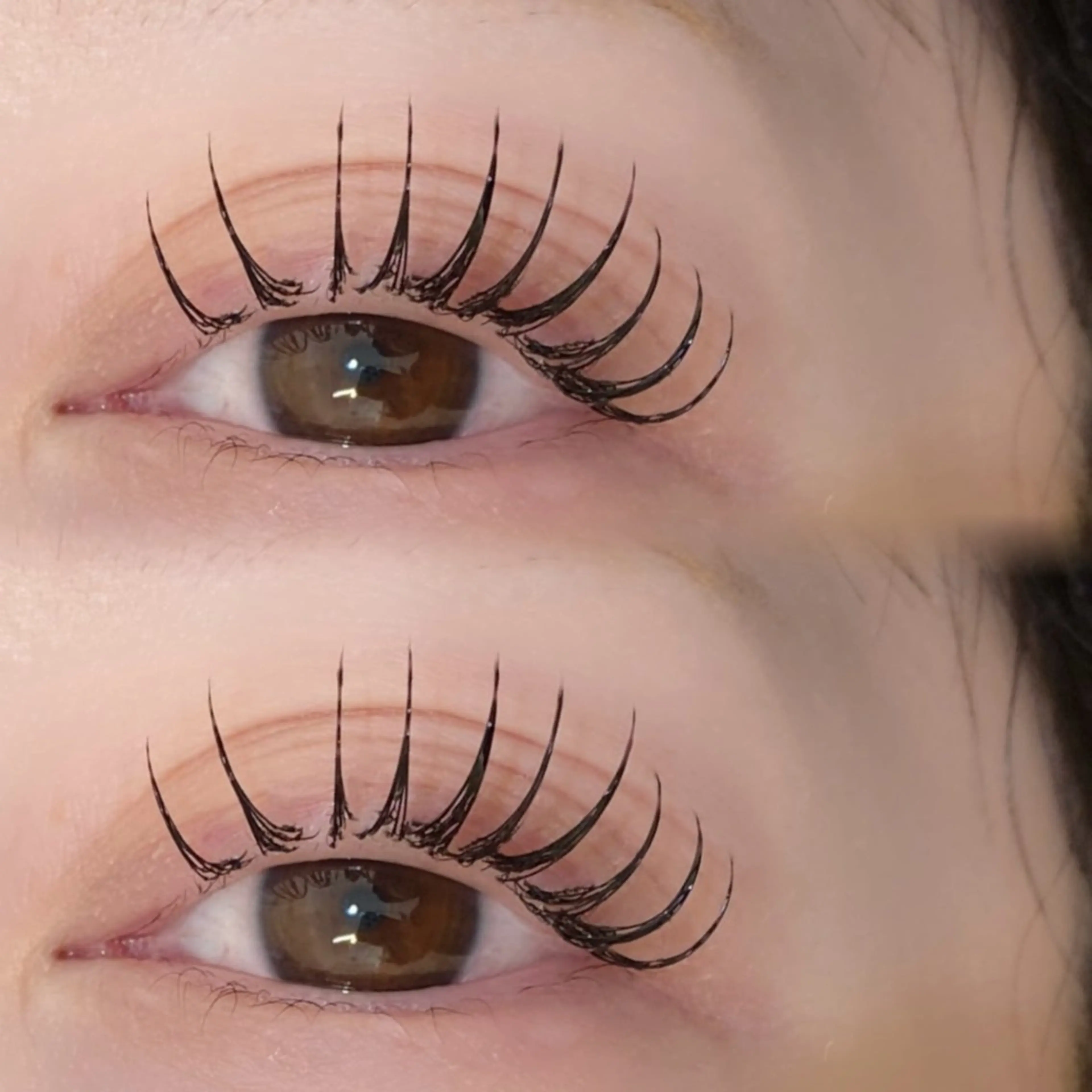 〈 30分付け足し⏱ 〉LEDフラットマットラッシュ （ ～60本まで ）の写真