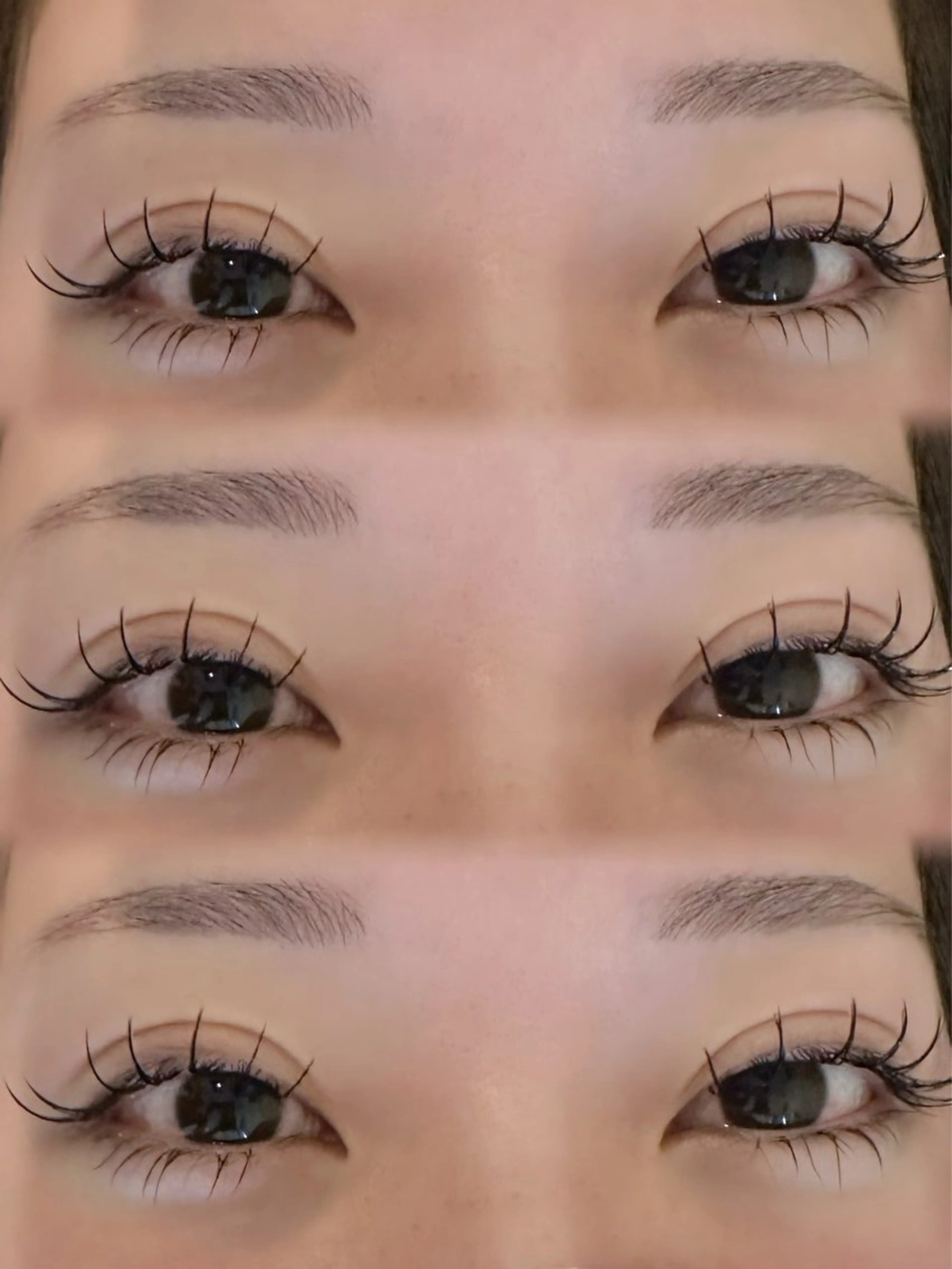 フラットマットラッシュの写真