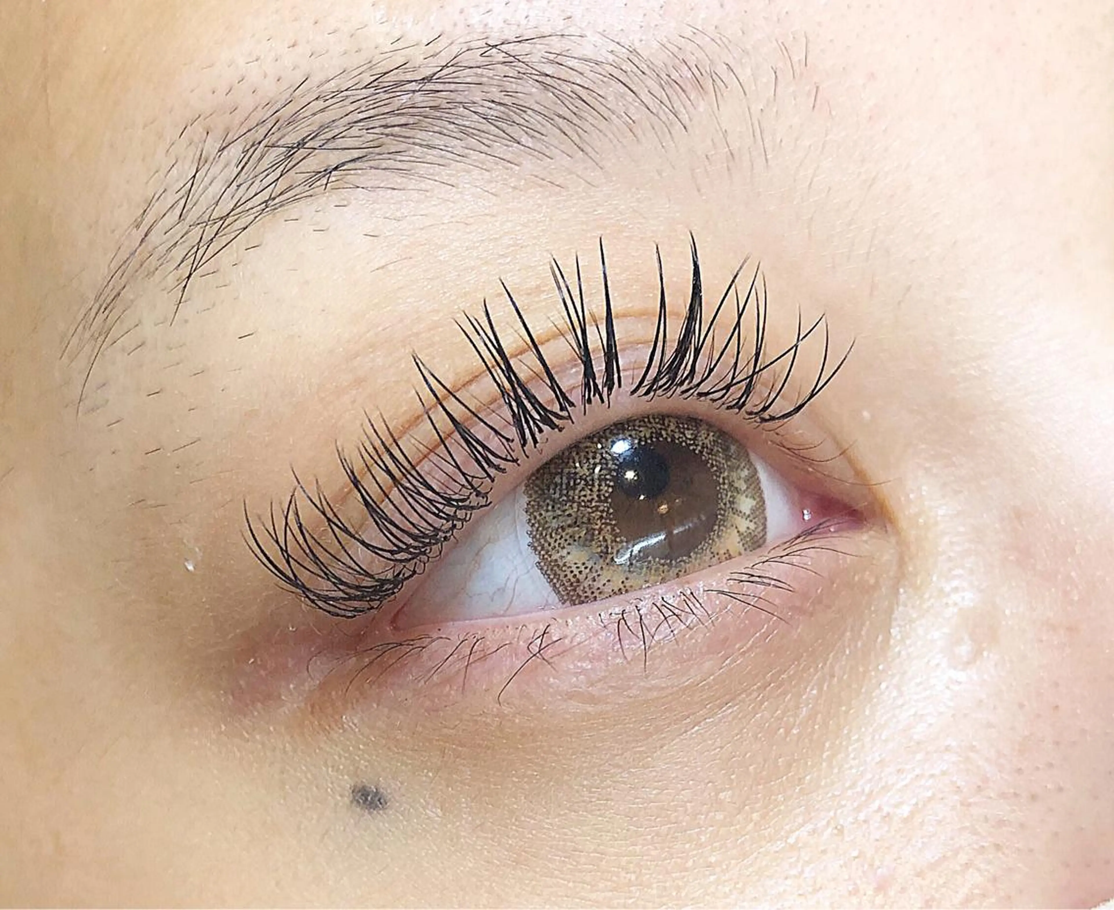 まつ毛パーマ+シングルエクステ100本SH付き🌿初回オフ無料の写真