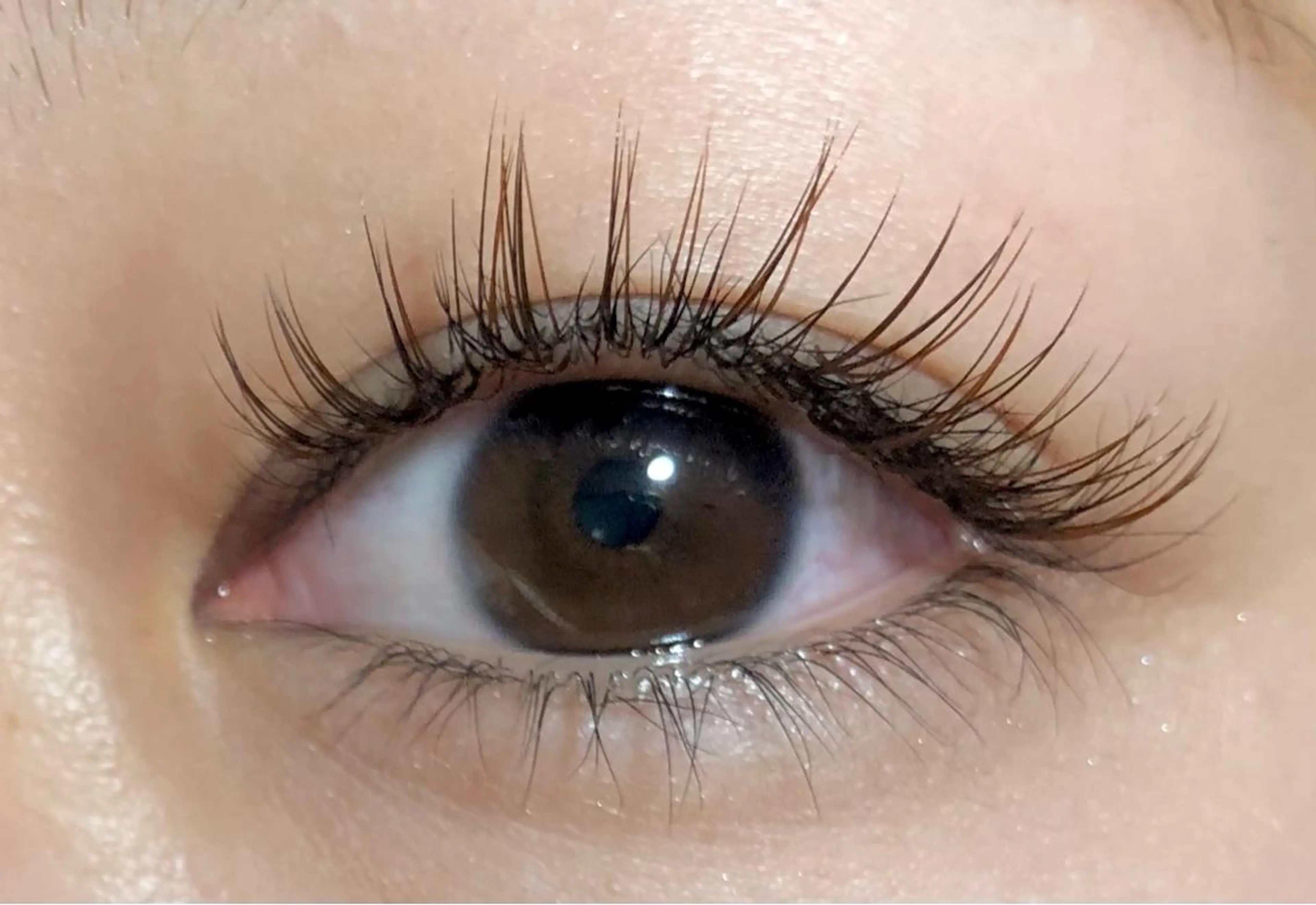 マツエク・マツパ カラーマツエク Favori 山下のマツエク・マツパデザイン