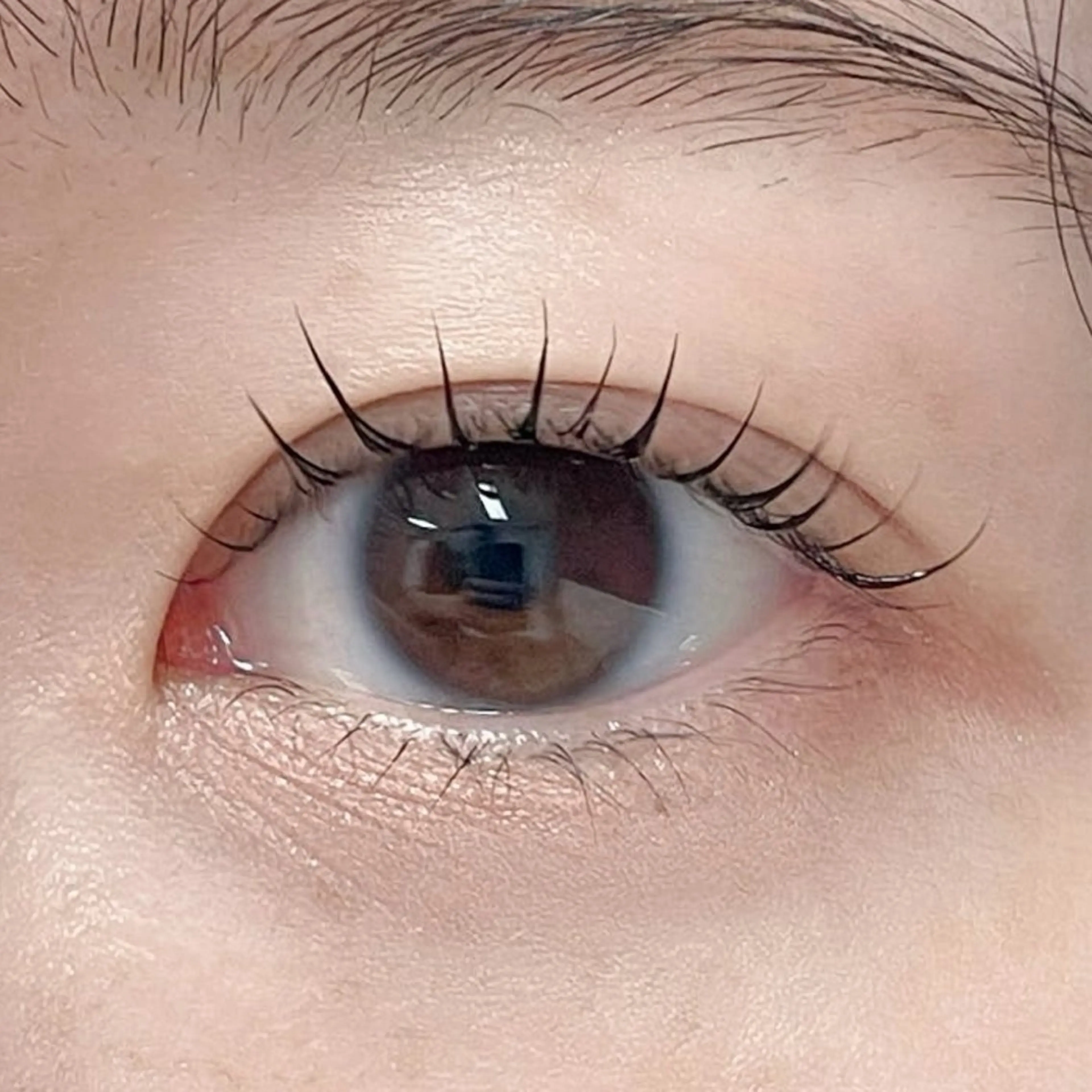 マツエク・マツパ マツパ GO TODAY シェアサロン 銀座Eclara店所属・mihiro 🐈‍⬛の眉毛・アイブロウイメージ