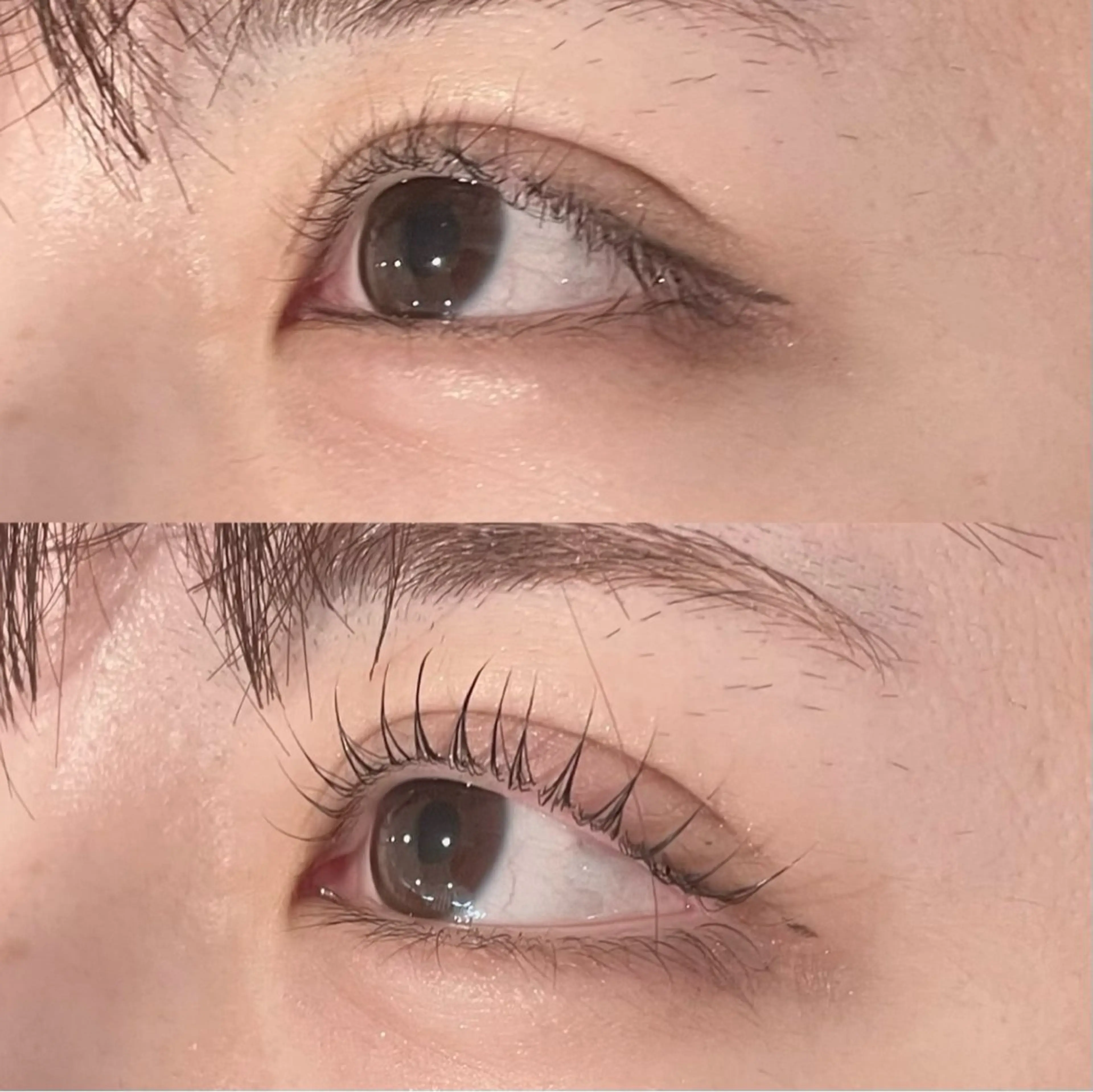 マツエク・マツパ レース アドラブル eyeのマツエク・マツパデザイン