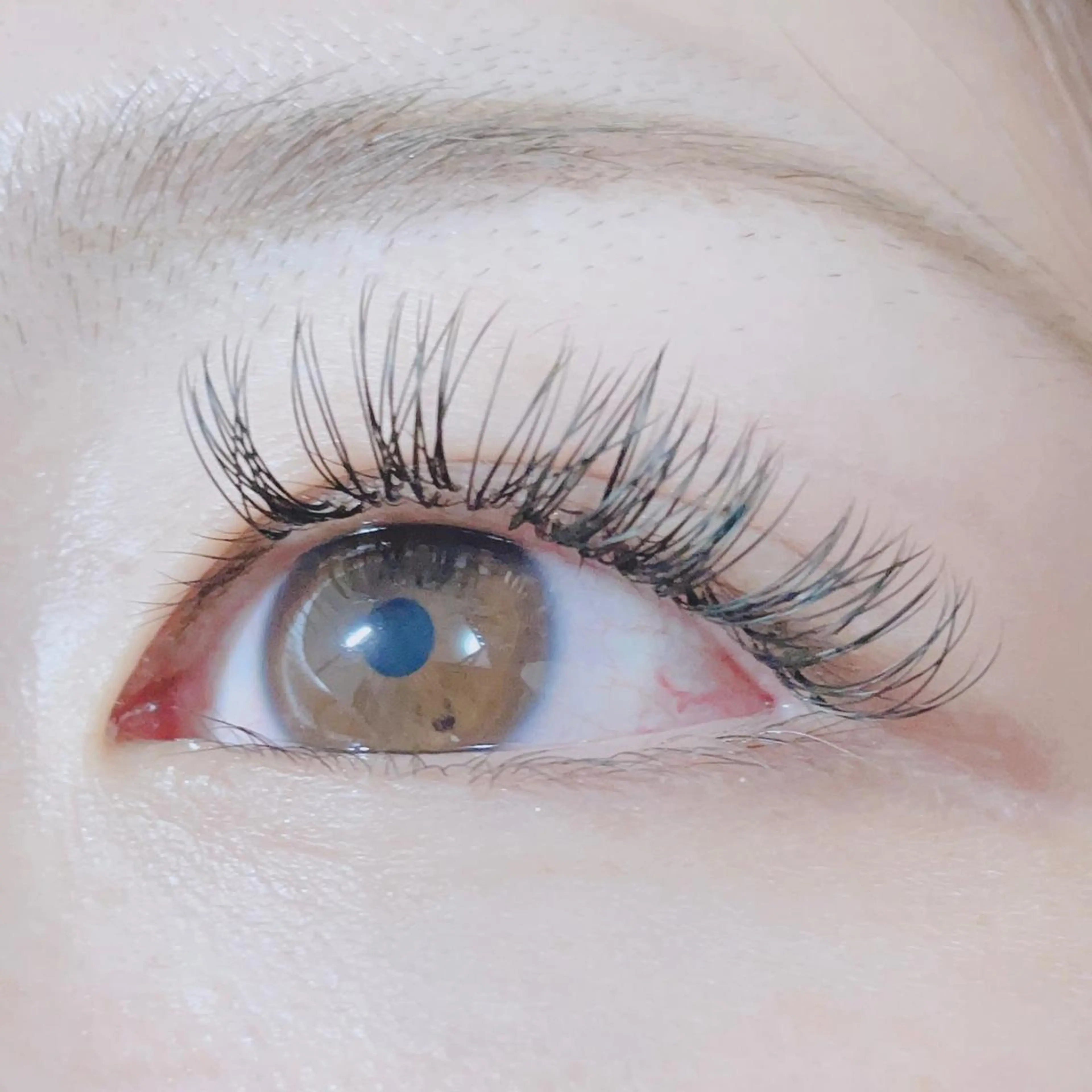 マツエク・マツパ Dカール ナチュラル 🍀fleur🍀 束感/ワンホン/杉浦のマツエク・マツパデザイン