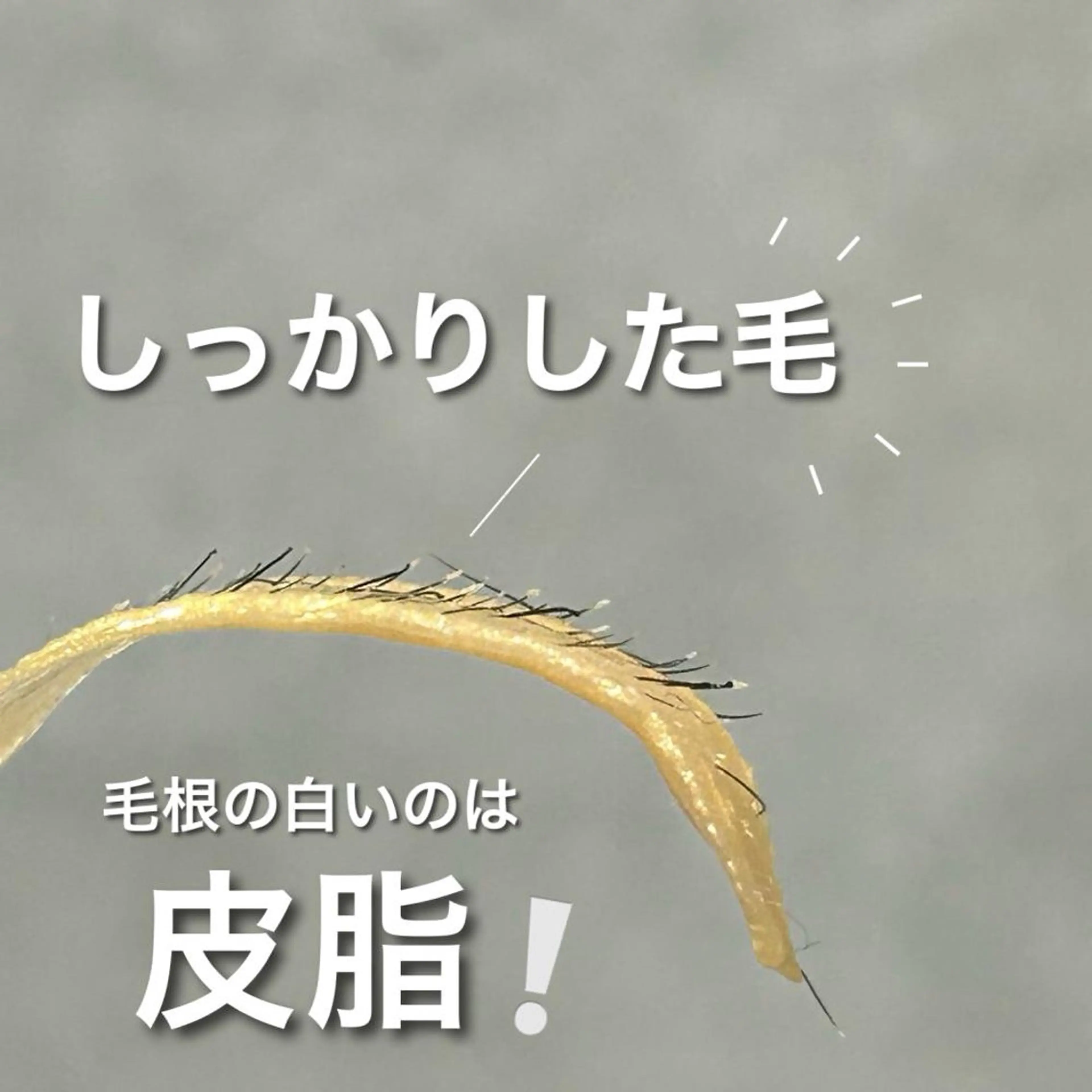 waxyyy. madokaの眉毛・アイブロウイメージ