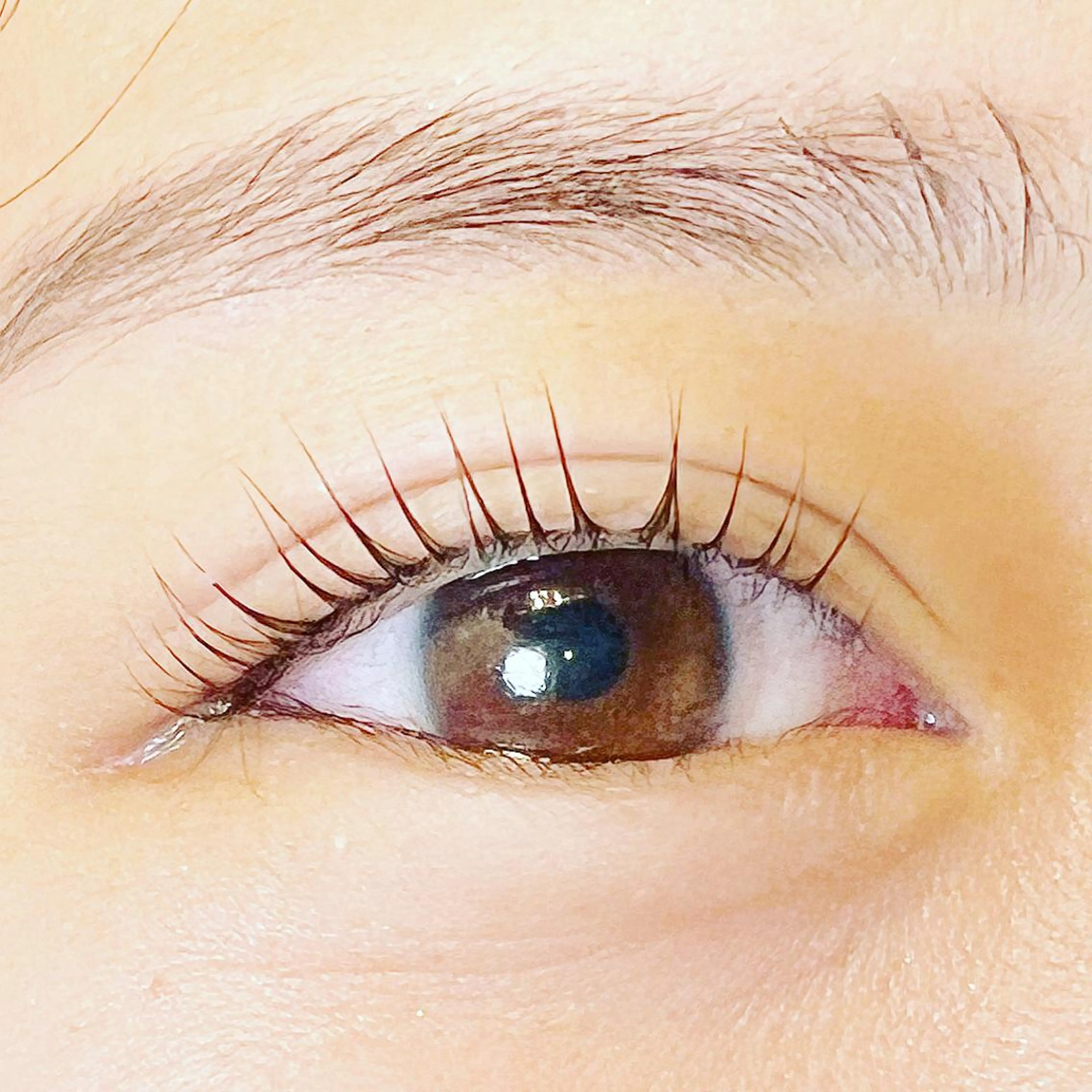マツエク・マツパ パリジェンヌラッシュリフト eyelash plan api所属・【plan】 kaoriのマツエク・マツパデザイン
