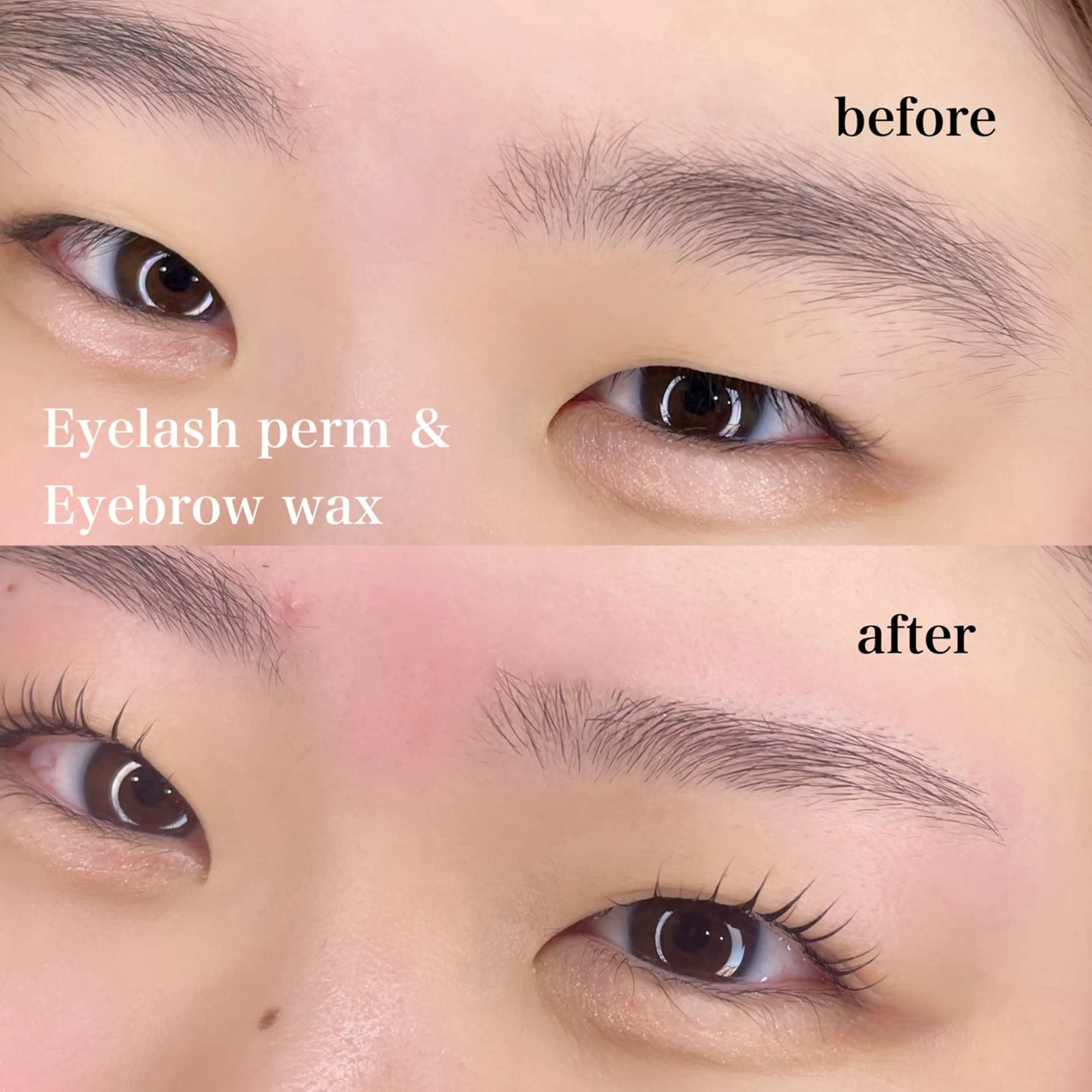 2.3回目限定クーポン🌈【まつパ+アイブロウ+育毛ケラチントリートメント】の写真