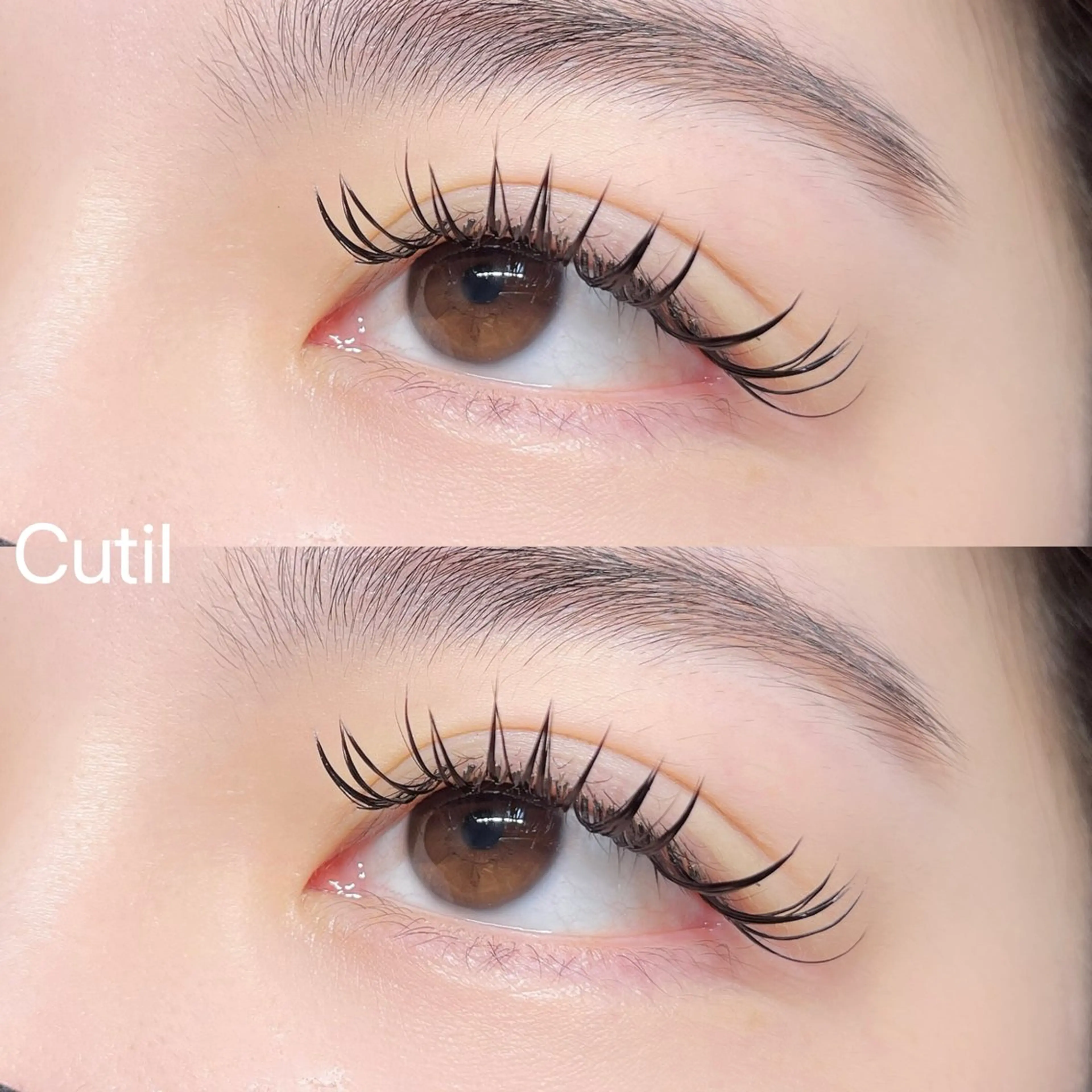 マツエク・マツパ Cutil . eyelash 🍊のマツエク・マツパデザイン