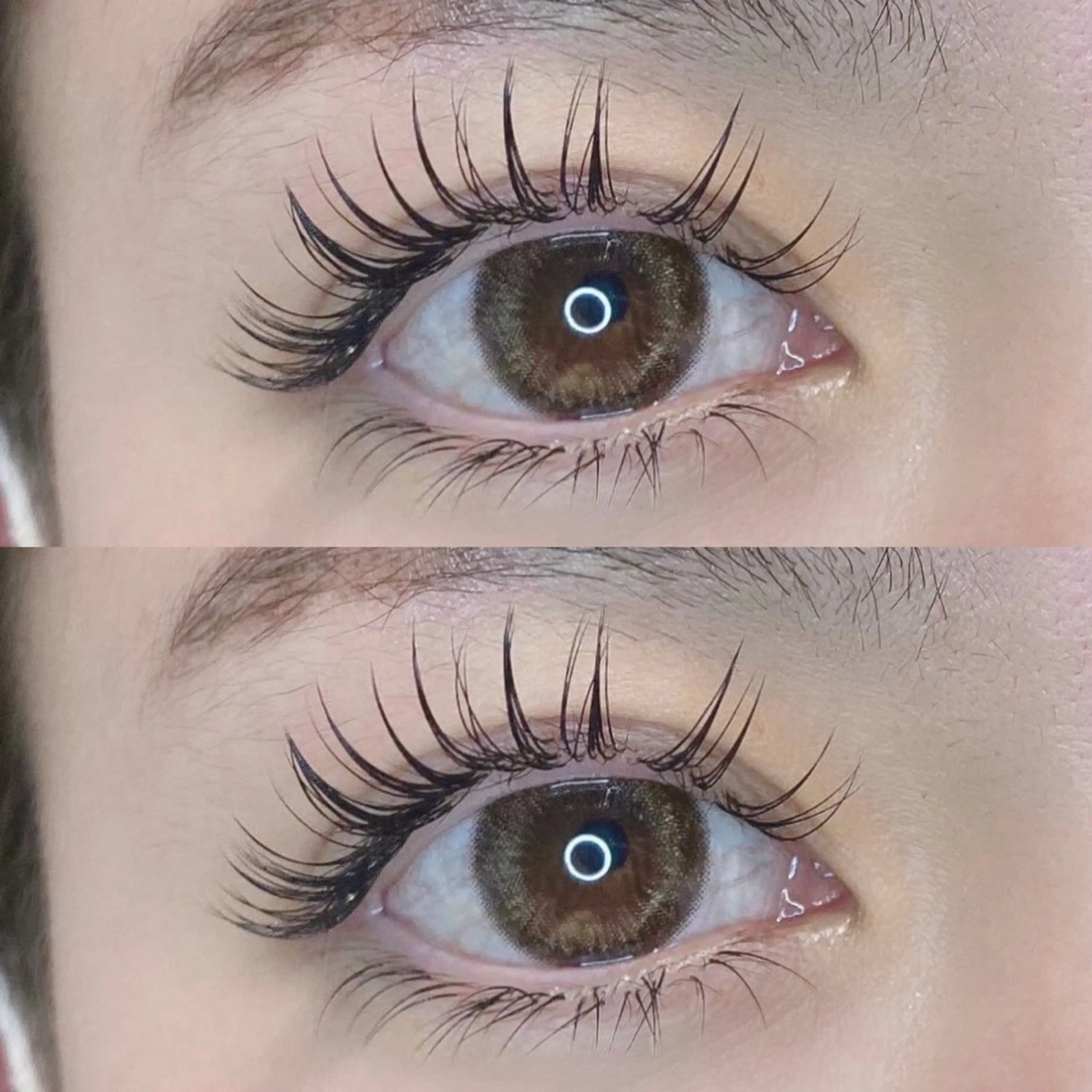 🎀 フラットラッシュ 160本 🎀 (オフ代+コーティング仕上げ込) 🤎 ブラウン +330円 🤎の写真