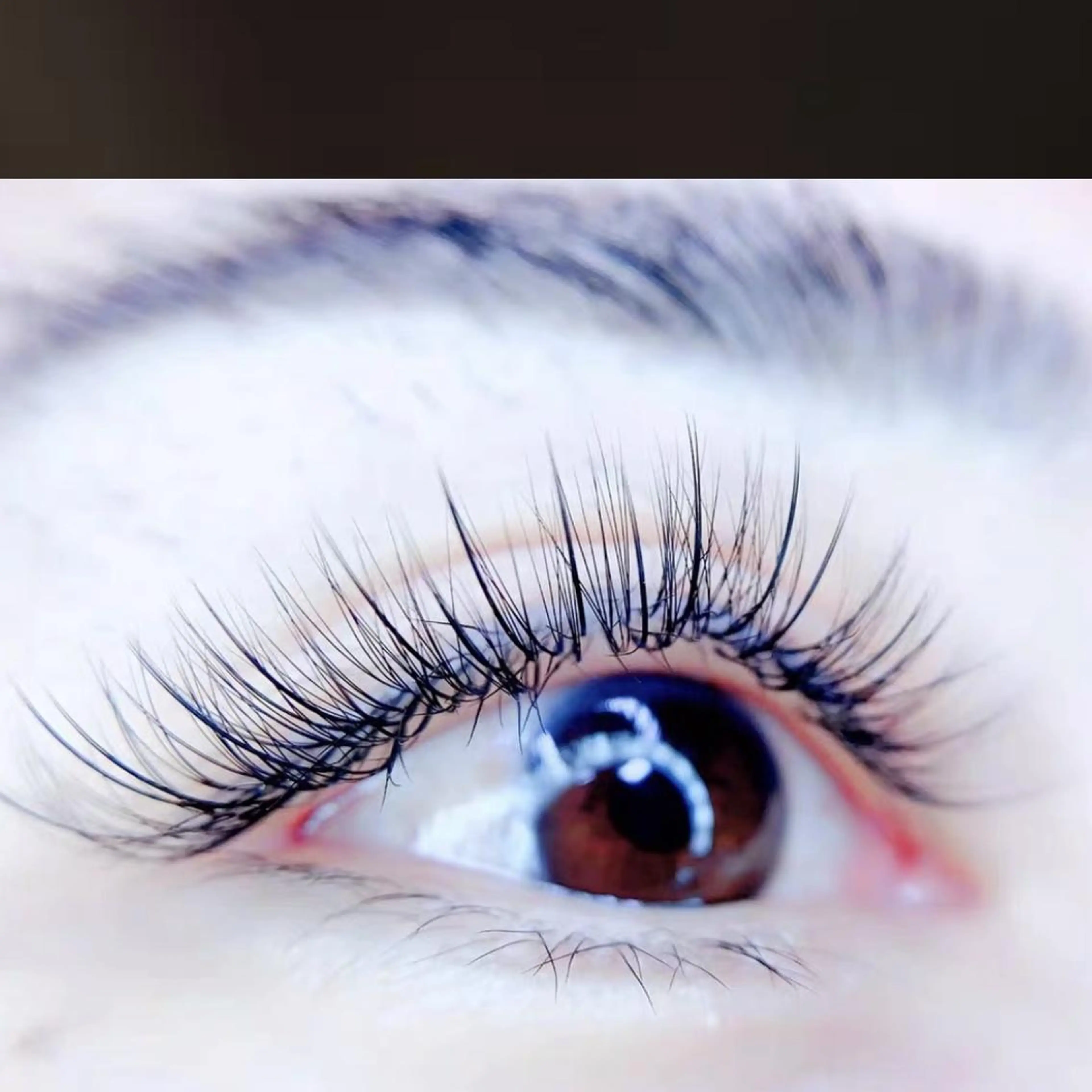 マツエク・マツパ Cカール フラットラッシュ ボリュームラッシュ Cute beauty2のマツエク・マツパデザイン