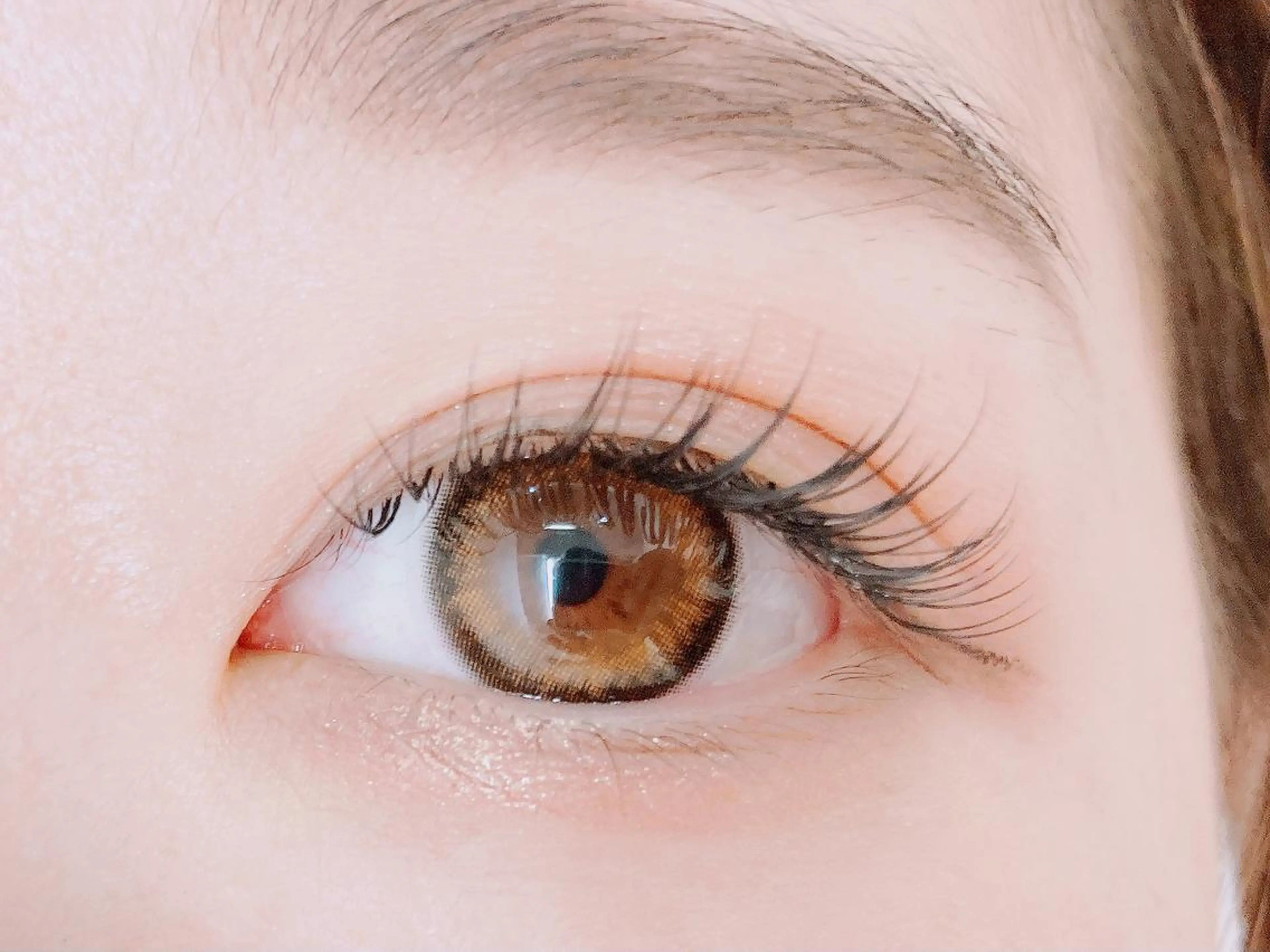 フラットラッシュ100本の写真