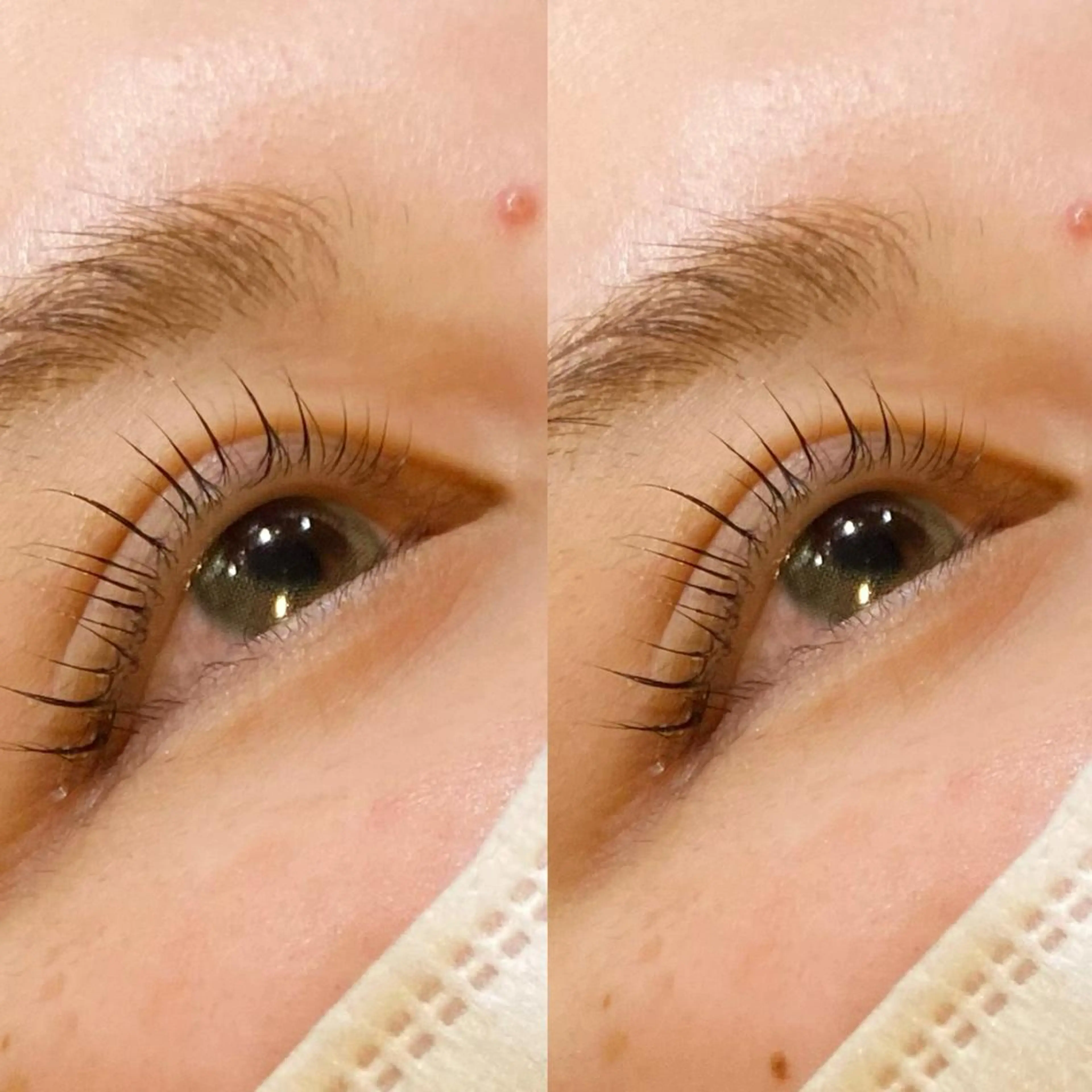 マツエク・マツパ マツパ 艶カラー 藤澤さくらのマツエク・マツパデザイン