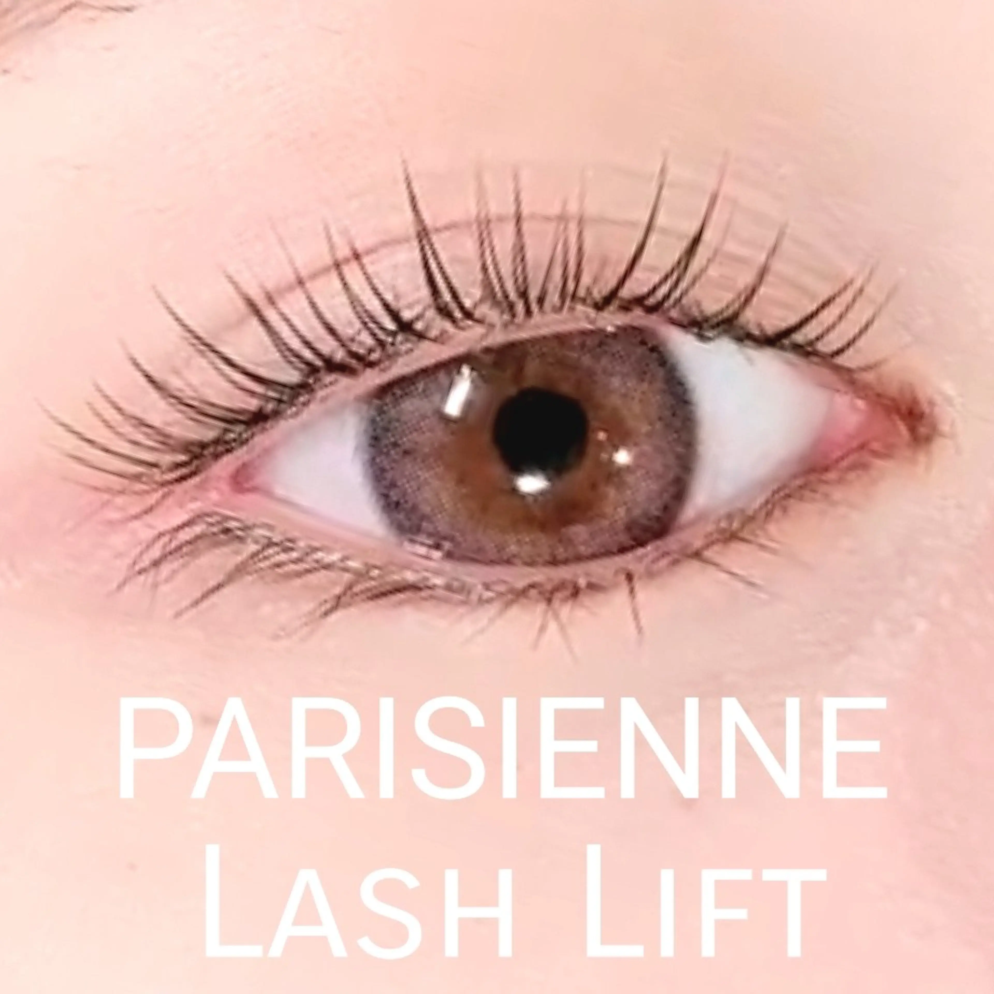 まつ毛パーマ/パリジェンヌ/ラッシュリフト/メーテルの写真