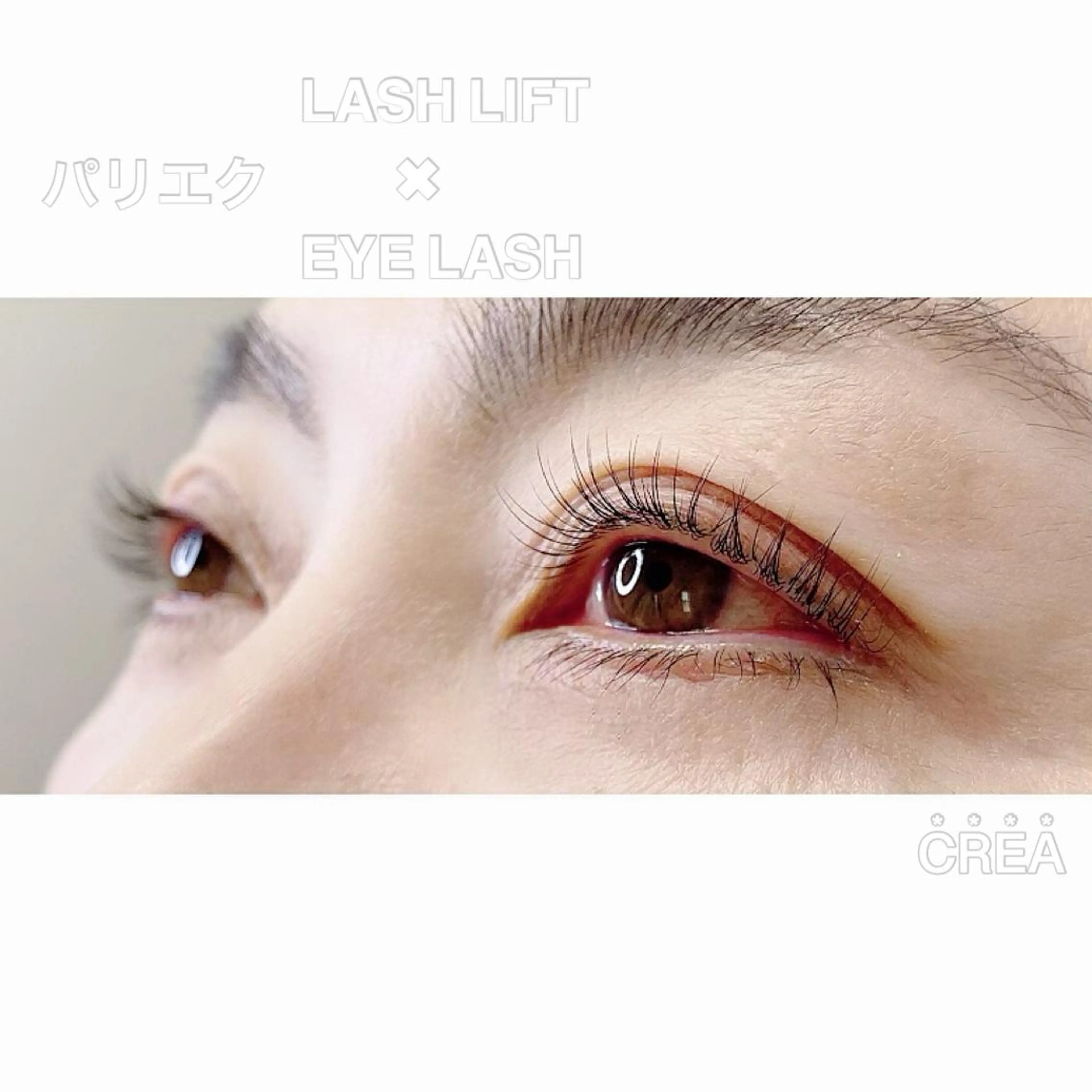 パリエク✾ナチュラルコース〖 60本迄〗の写真