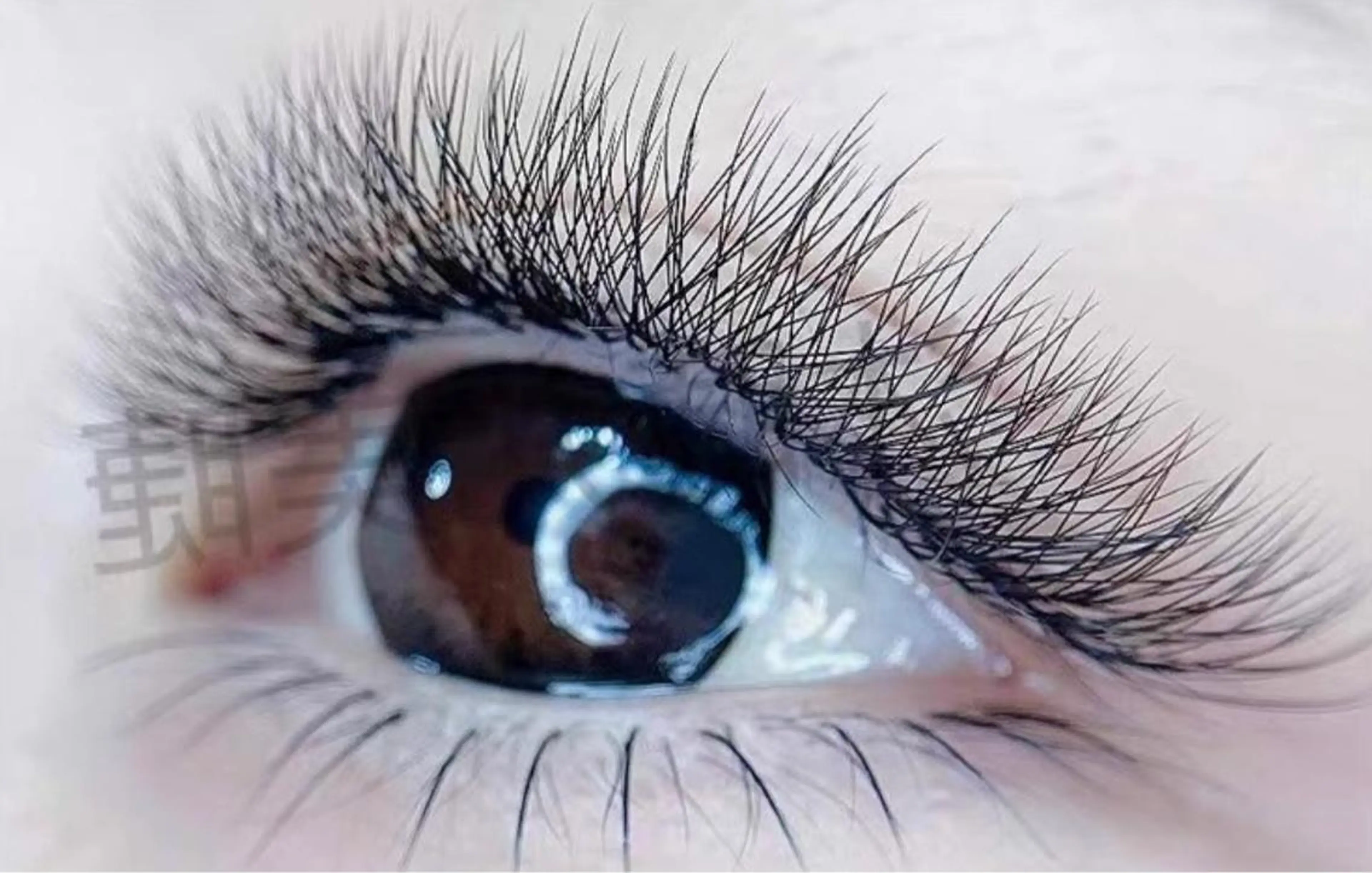 マツエク・マツパ マツエク Lemon 小岩店のマツエク・マツパデザイン