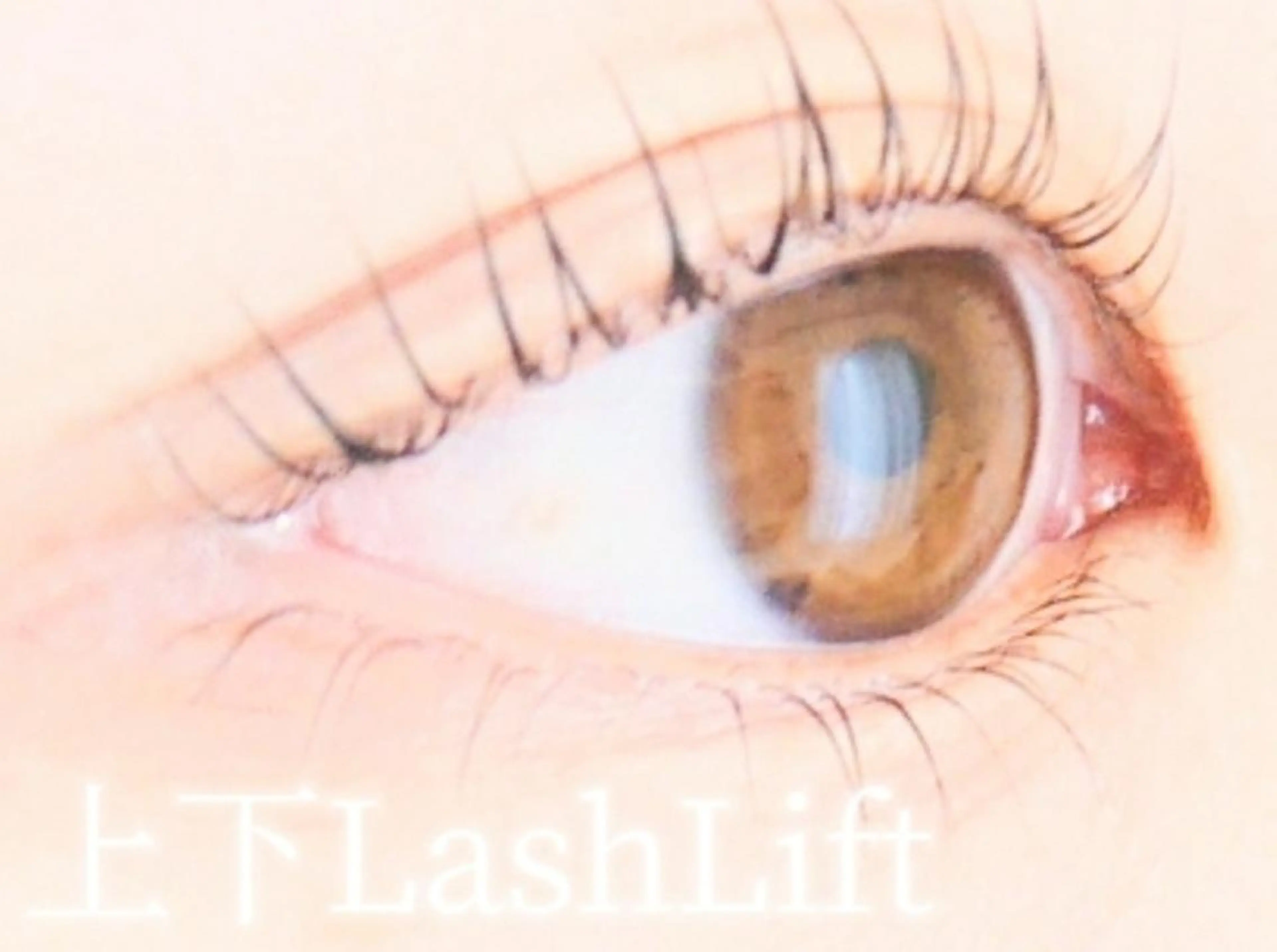 マツエク・マツパ 下まつげエクステ 一重×まつ毛パーマ マツパ BLAO: Kawakitaのマツエク・マツパデザイン