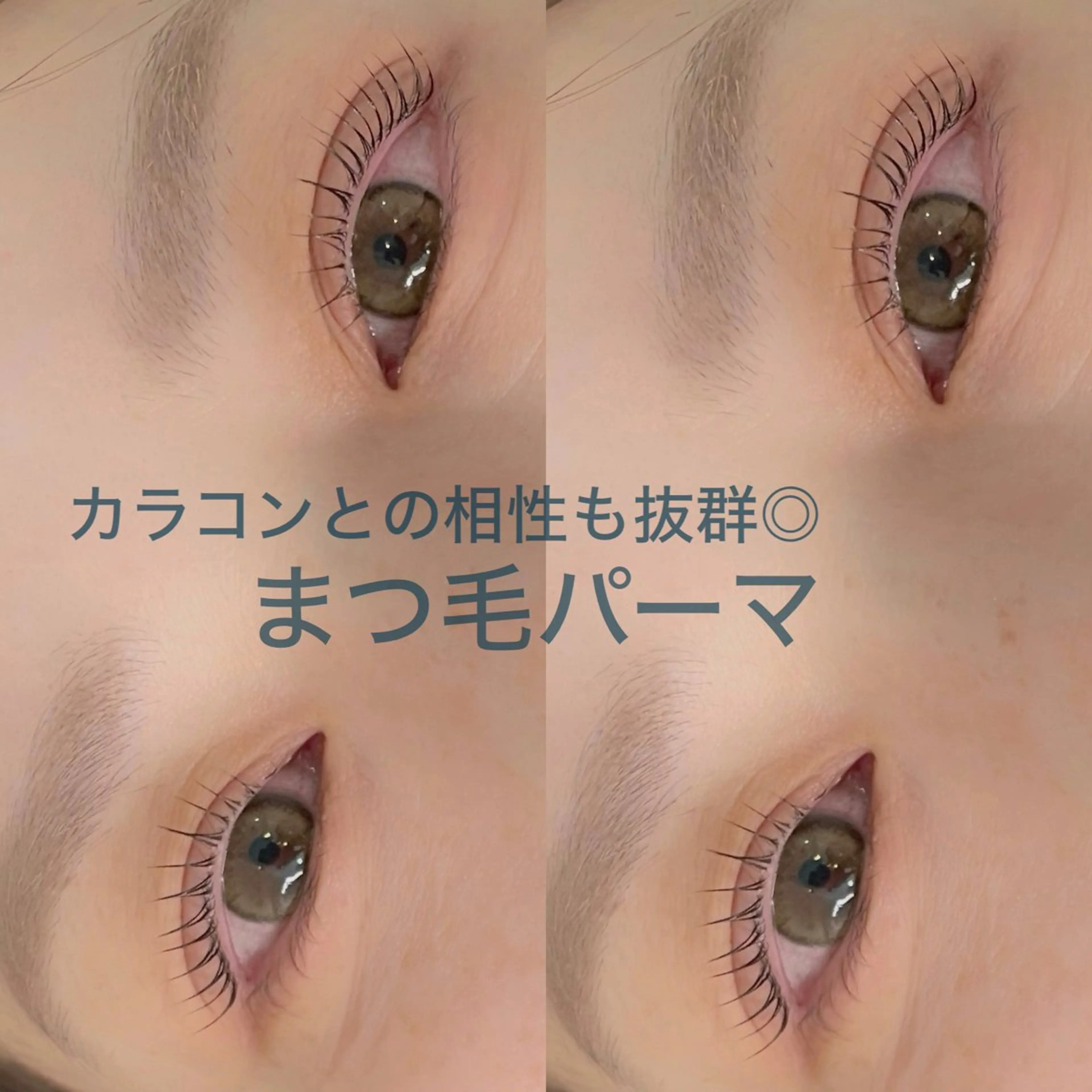 マツエク・マツパ 一重×まつ毛パーマ マツパ CALM ／岸和田のマツエク・マツパデザイン