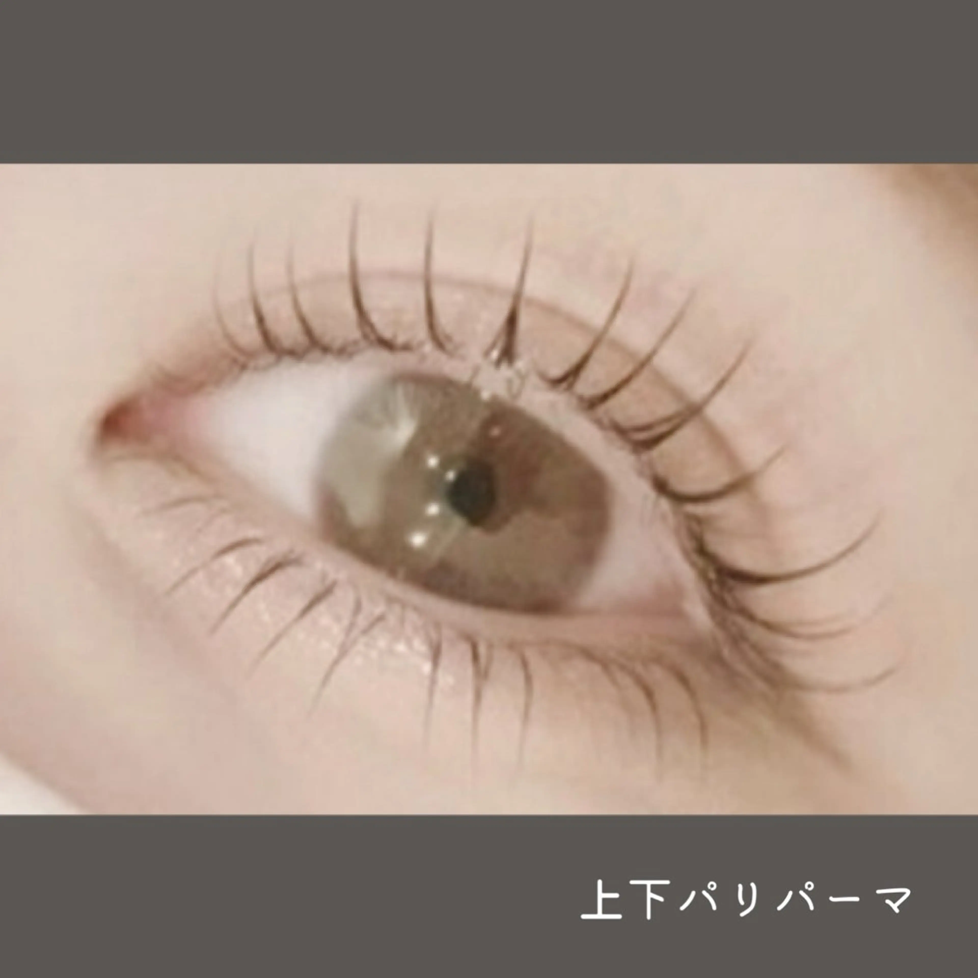 ✨ミニモ限定🉐価格✨️💞根本立ち上げ上パーマ&下まつパ同時施術🉑超目力アップ↑↑🥺🌹💟上下パリパーマ💟の写真