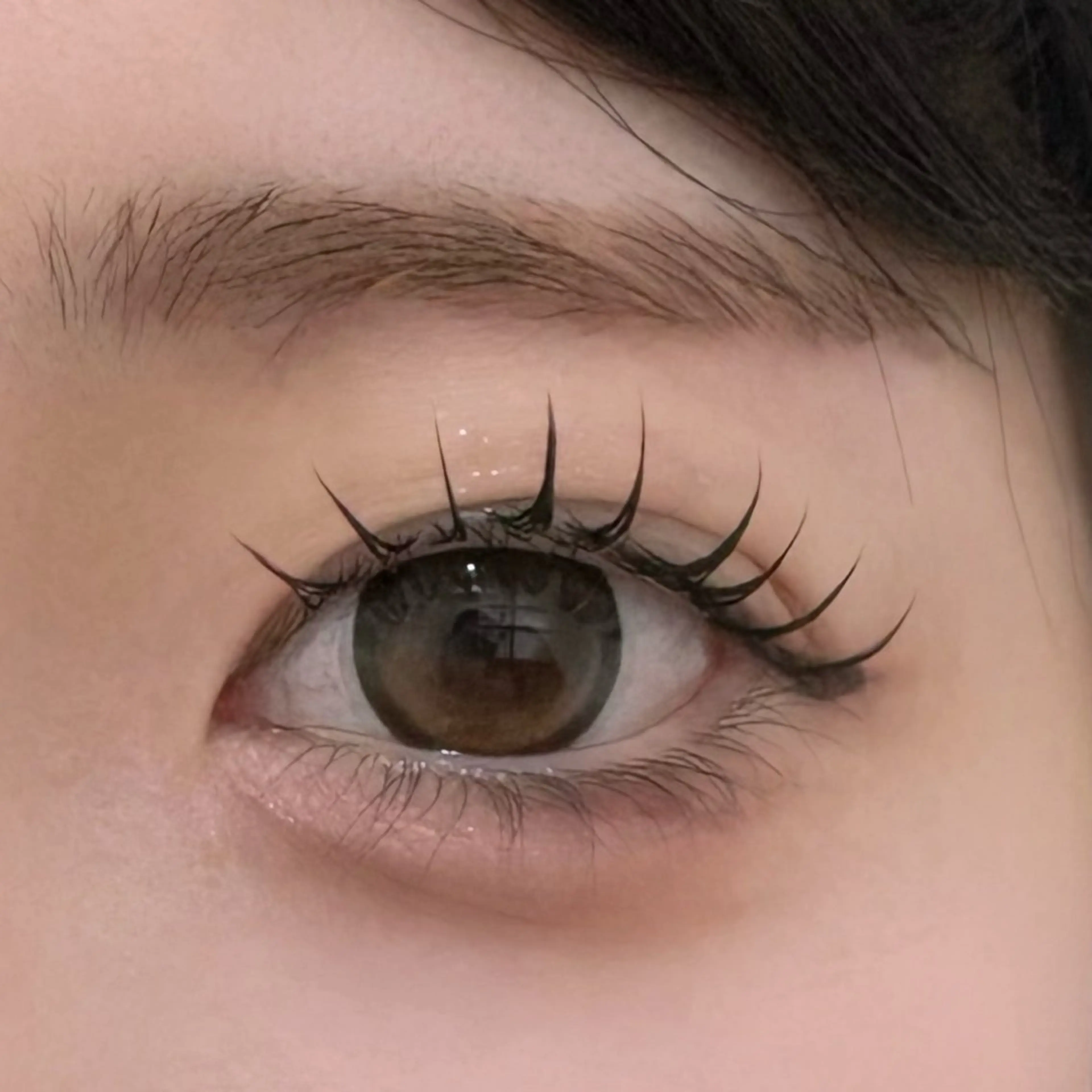 【🎀無料メーテルラッシュリフト＋美容液コーティング】の写真