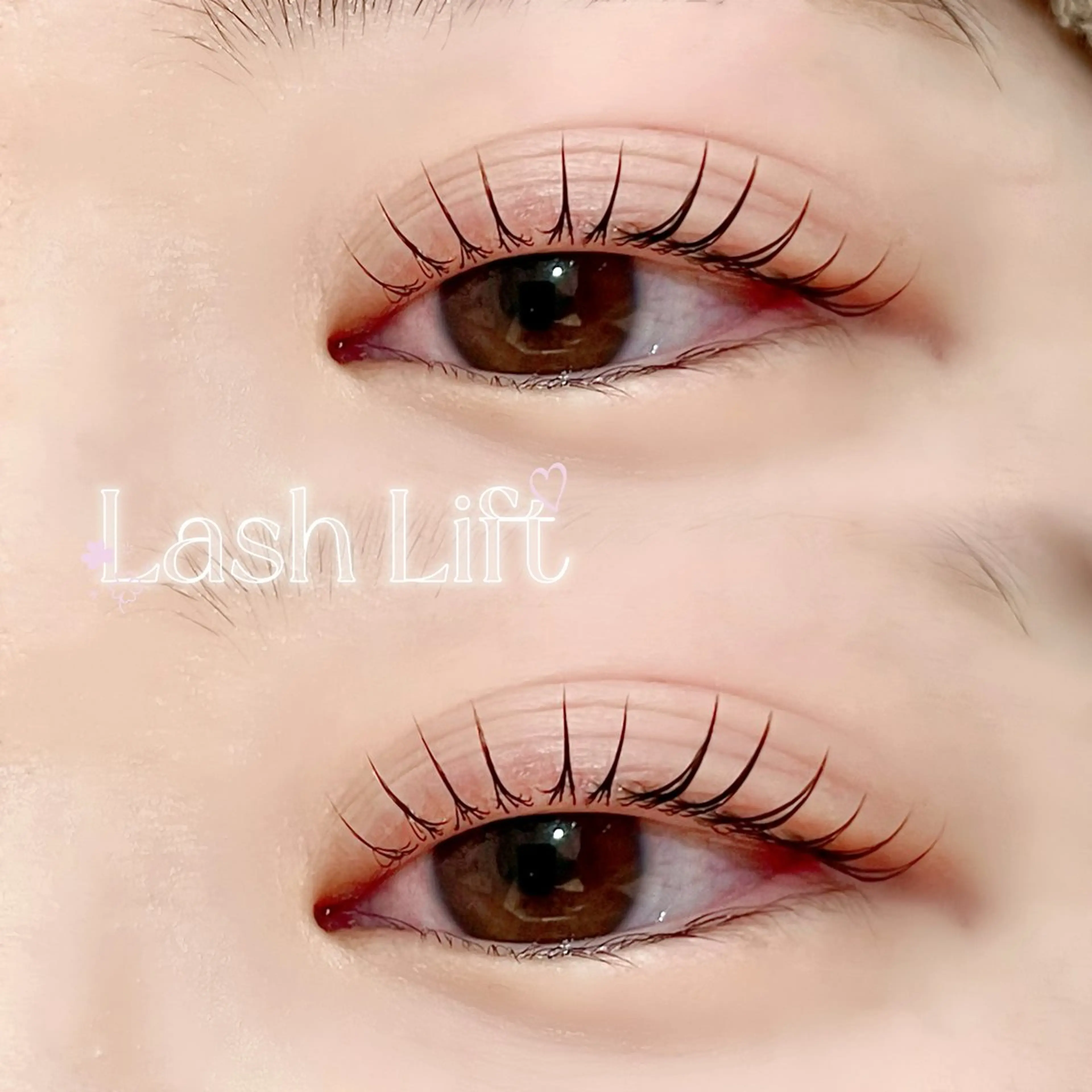 マツエク・マツパ 一重×まつ毛パーマ まつ毛エクステモデル SHOKO🎀のマツエク・マツパデザイン